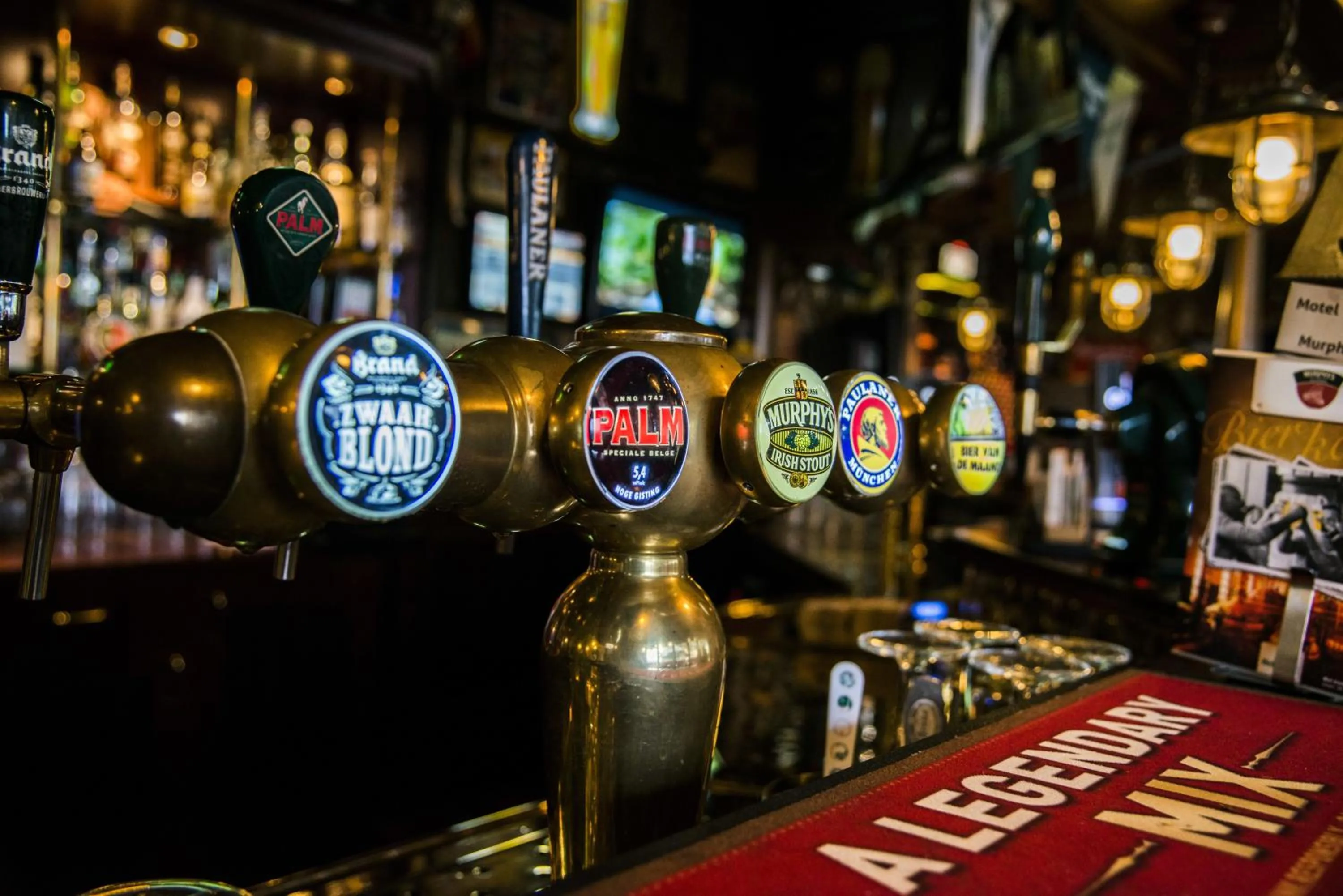 Lounge or bar in Motel Oostvoorne