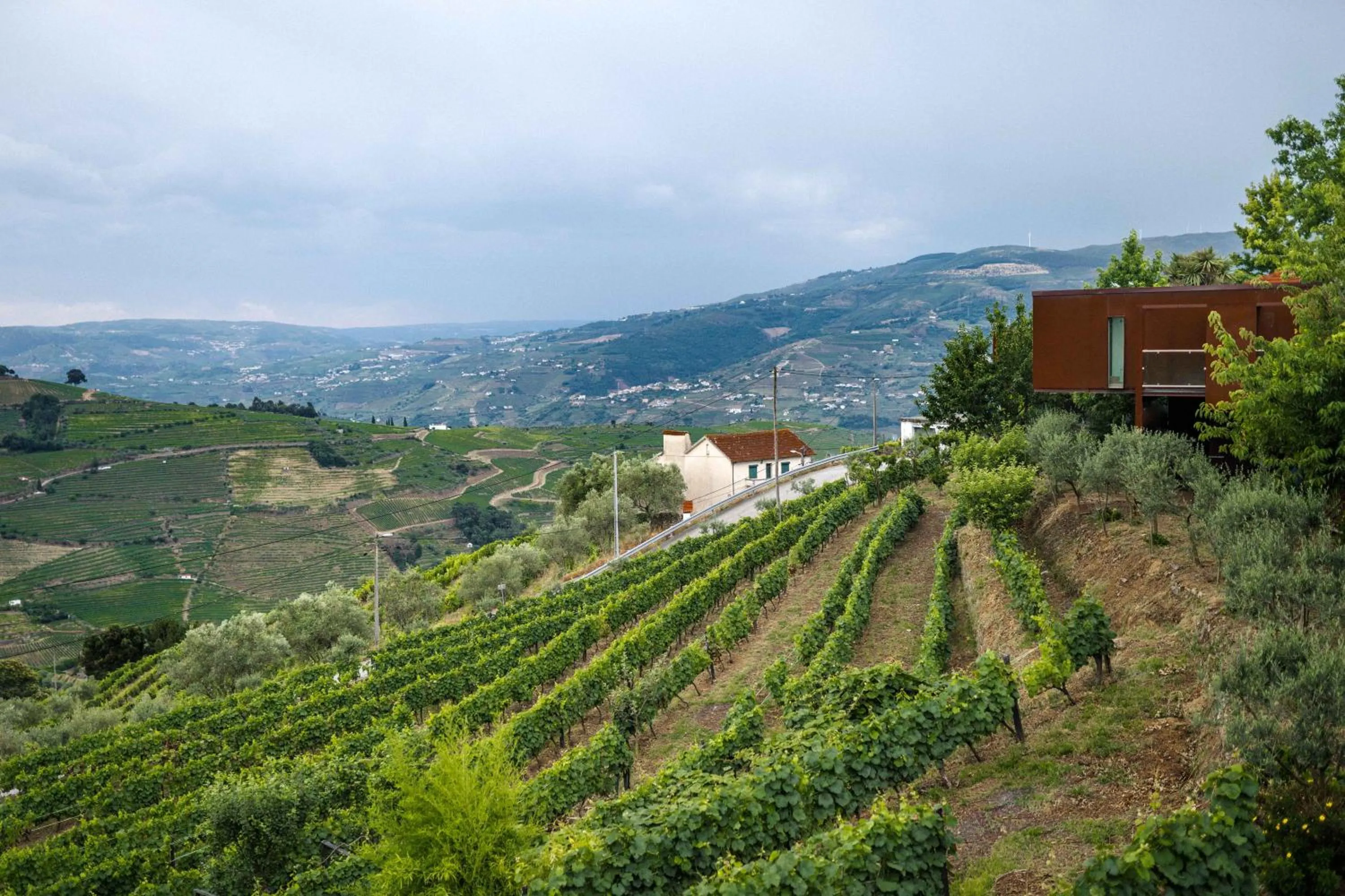 Natural landscape in Vila Marim Country Houses