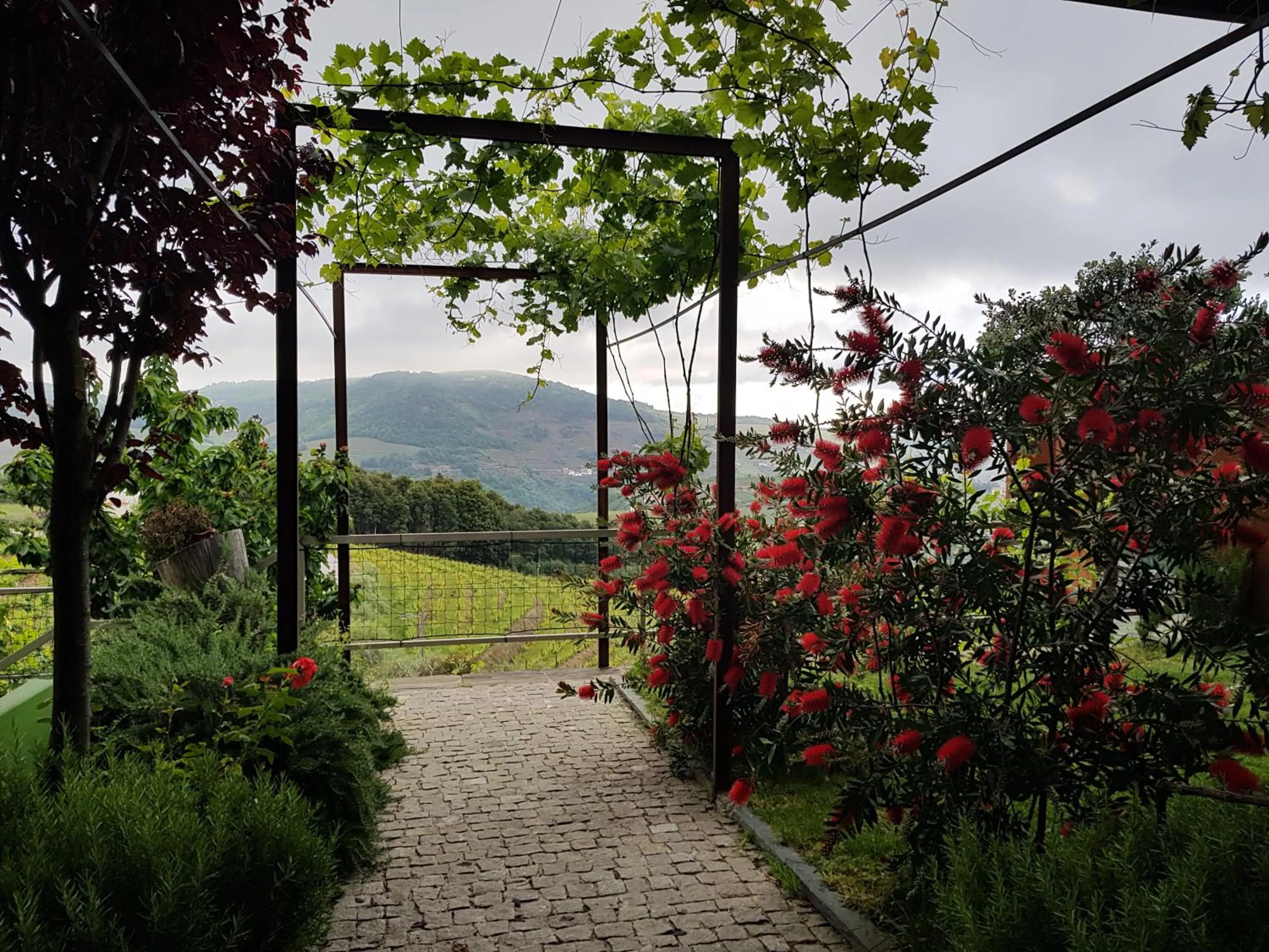 Natural landscape in Vila Marim Country Houses