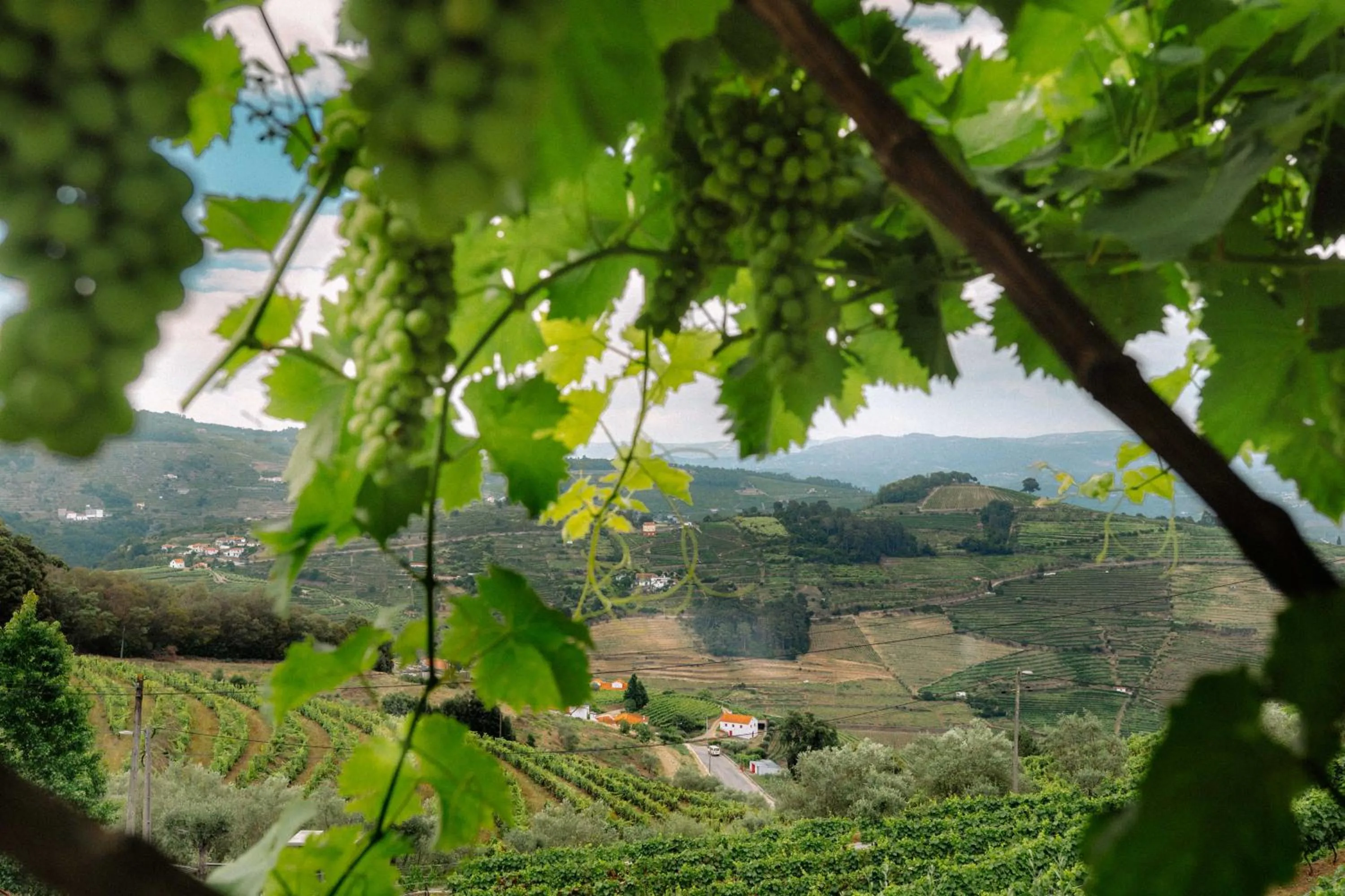 Natural landscape in Vila Marim Country Houses