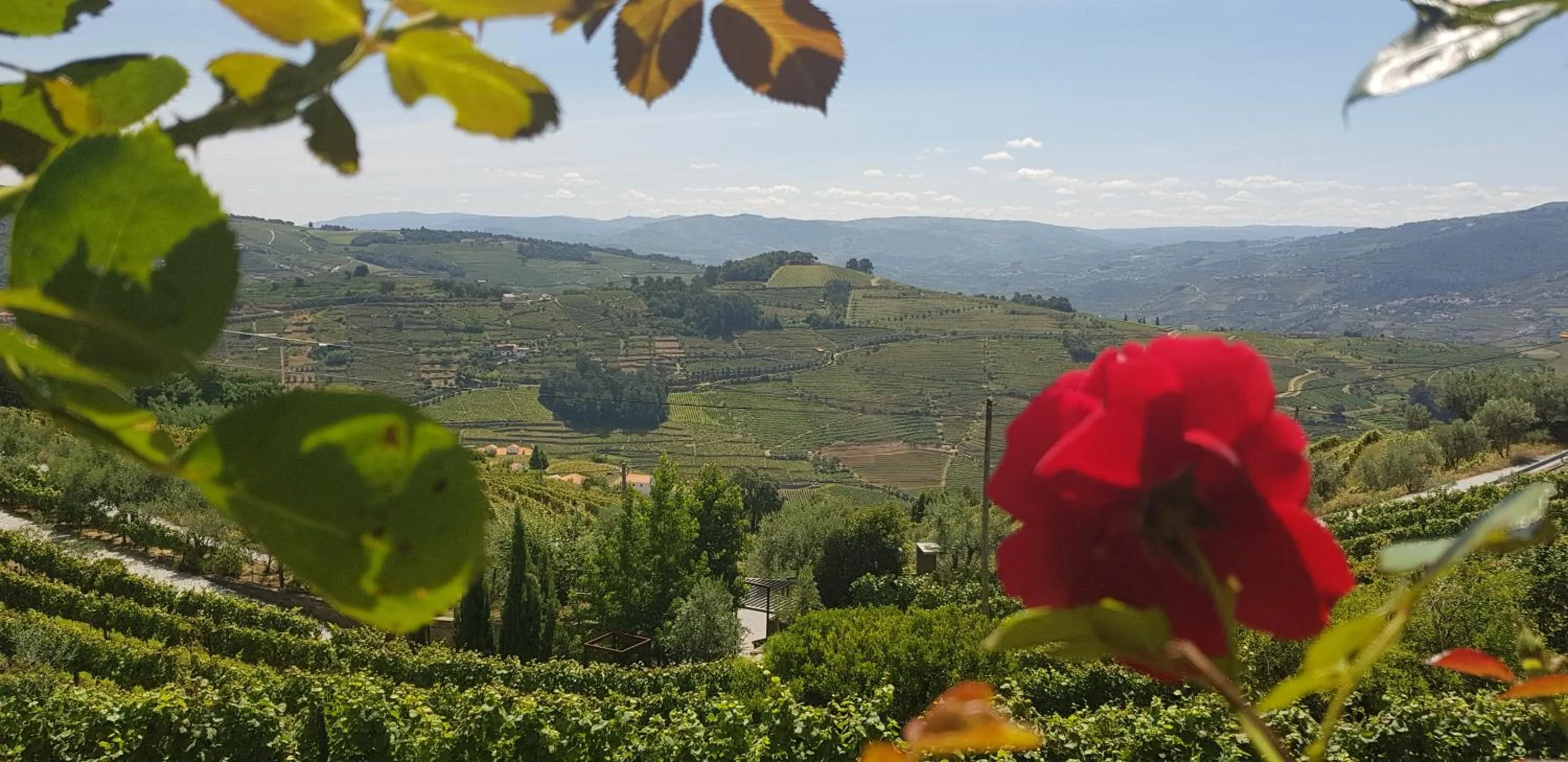 Natural landscape in Vila Marim Country Houses