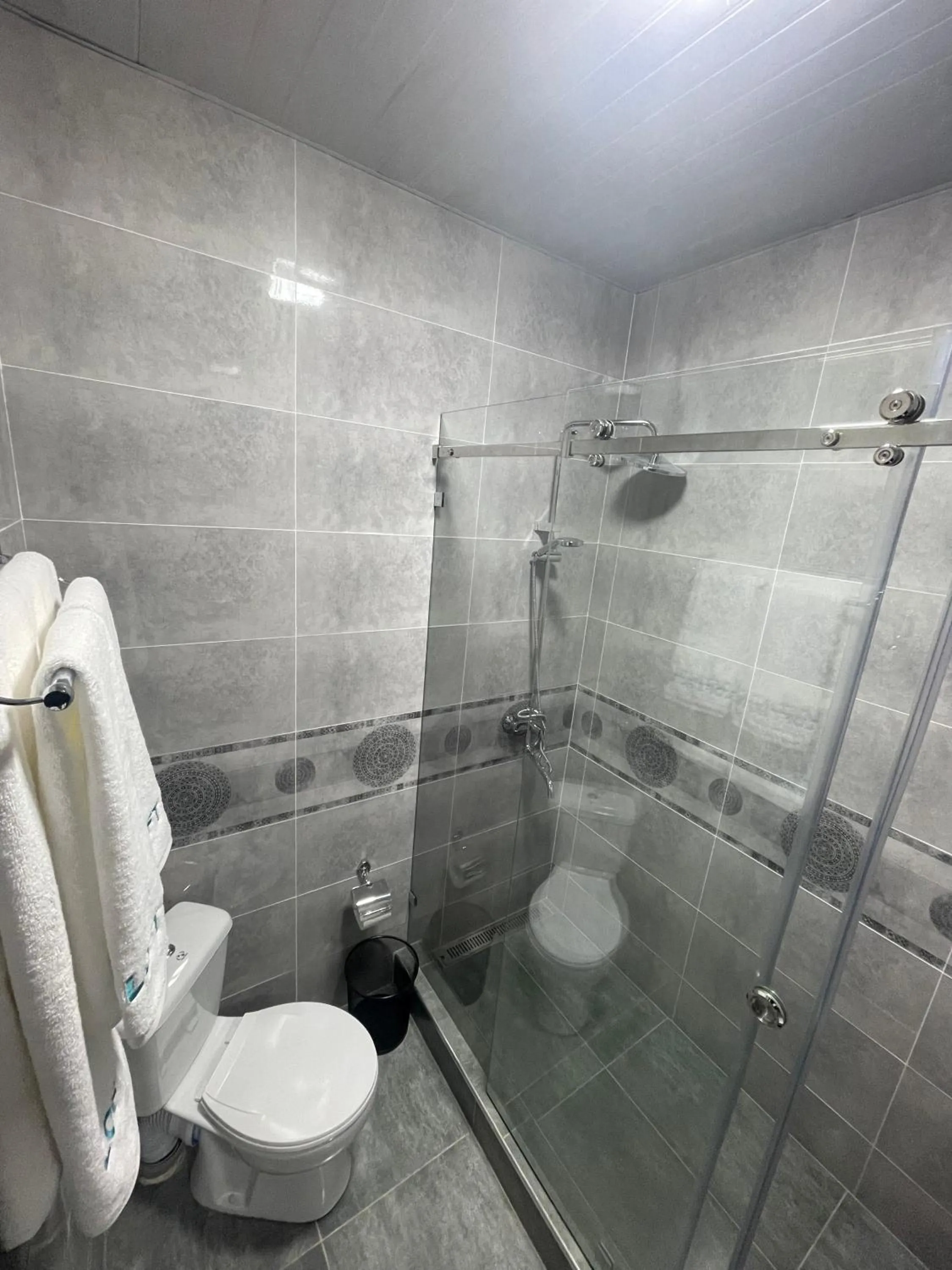 Shower in Loft Hotel