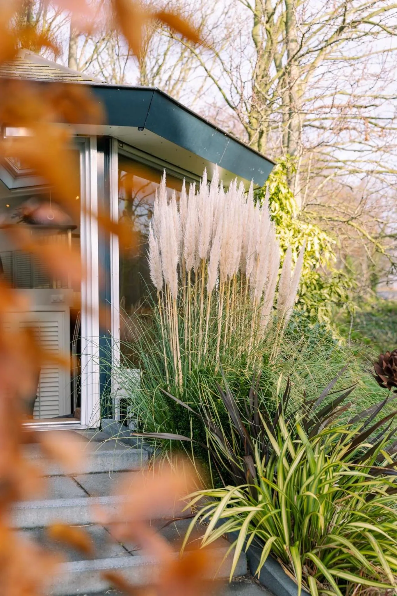 Garden in Boutique Hotel Texel