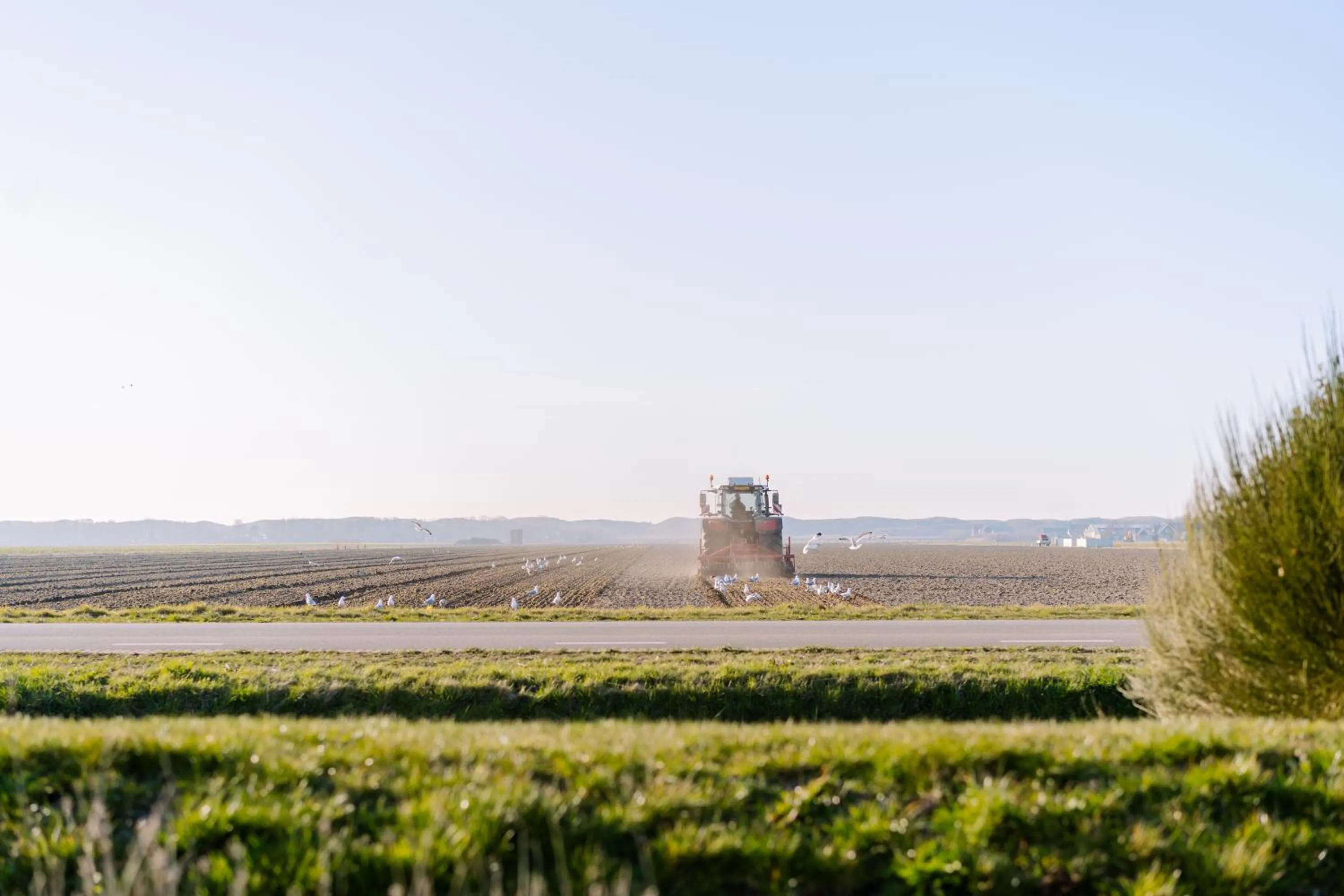 Restaurant/places to eat in Boutique Hotel Texel