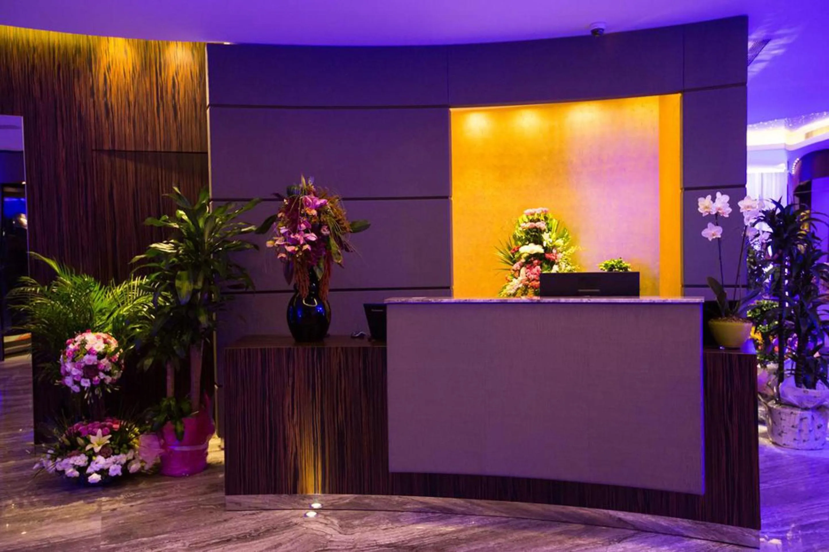 Lobby or reception in Monte Cassino