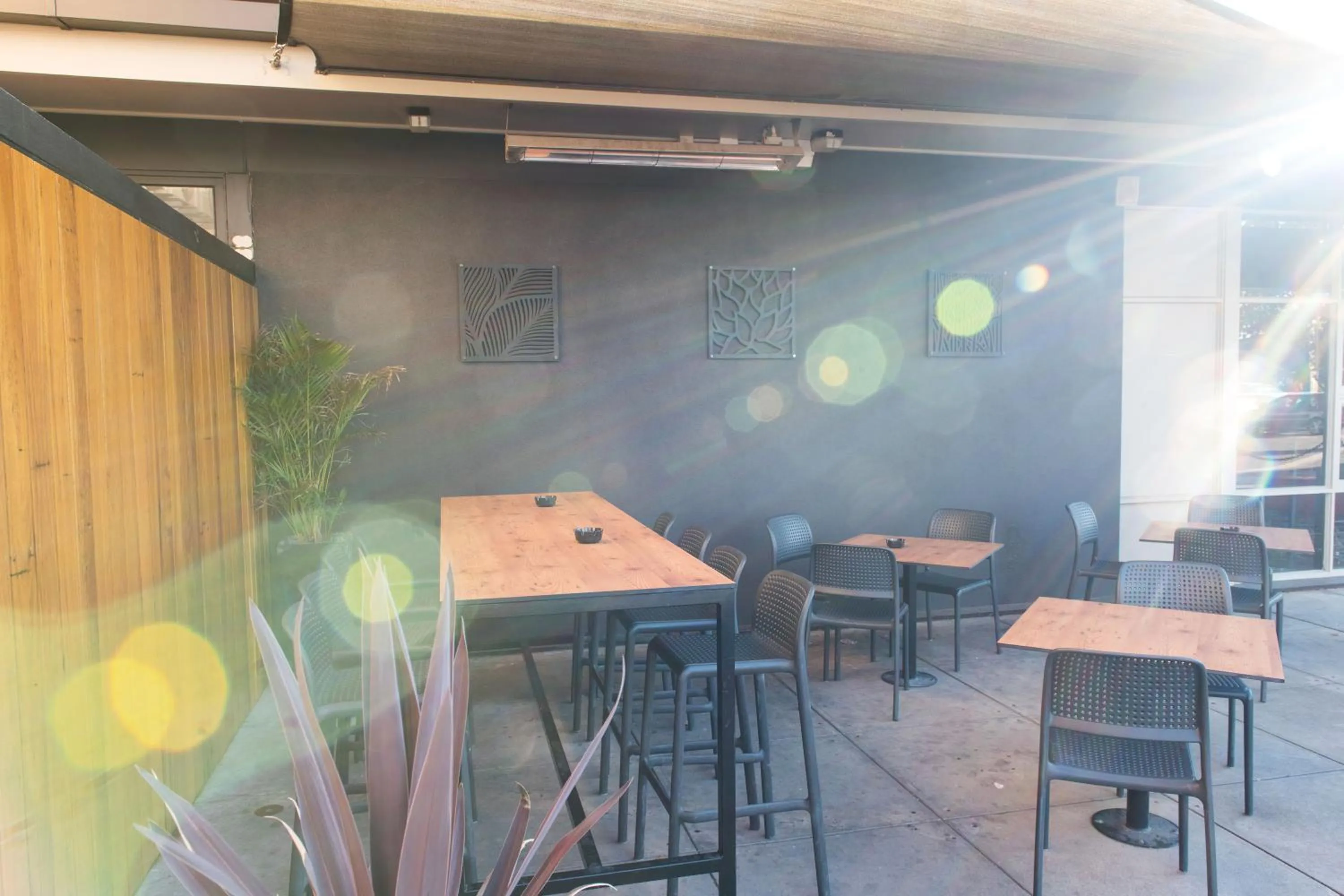 Garden in Nightcap at Hendon Hotel