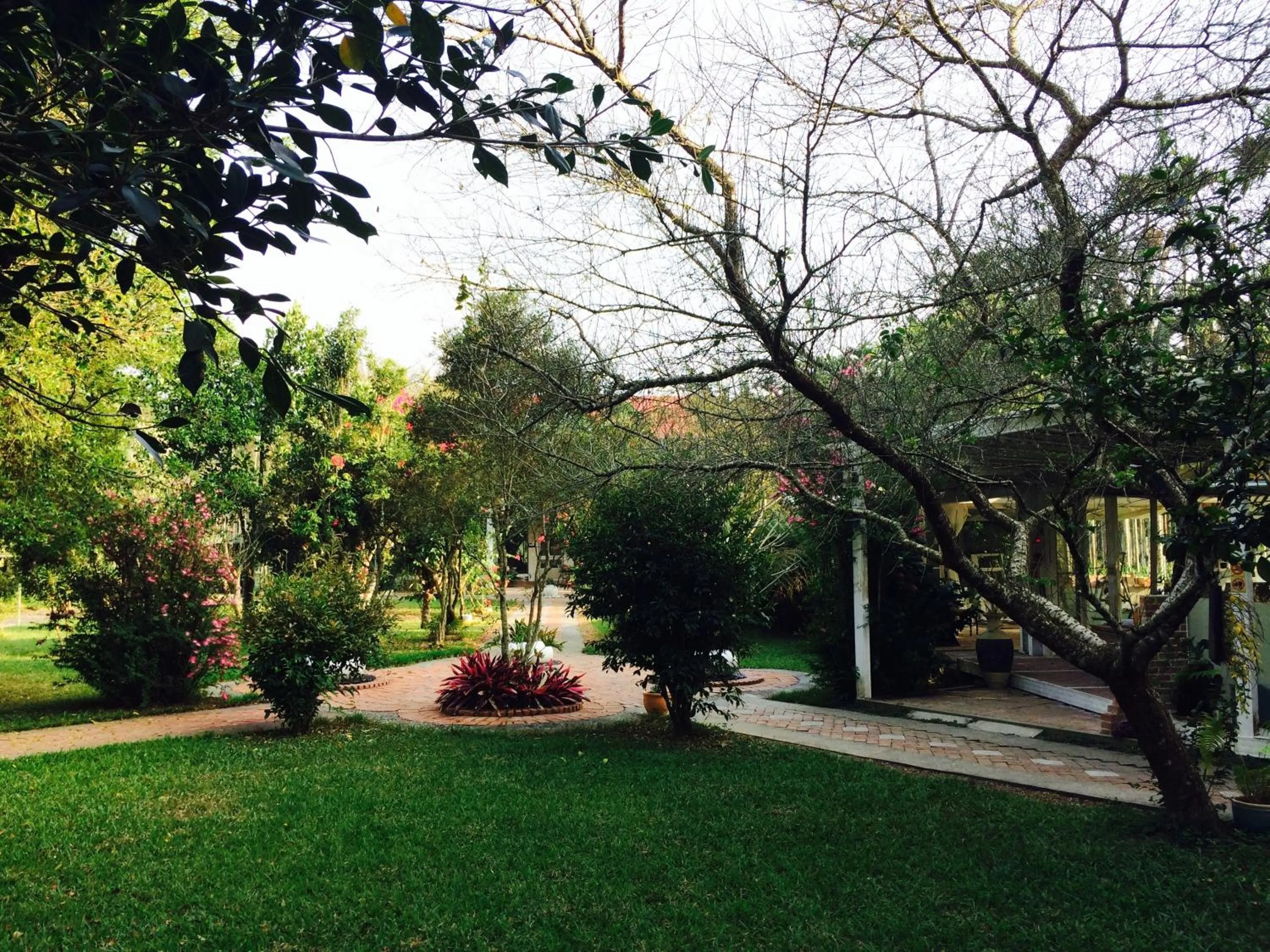 Garden in 秘密花園設計Villas