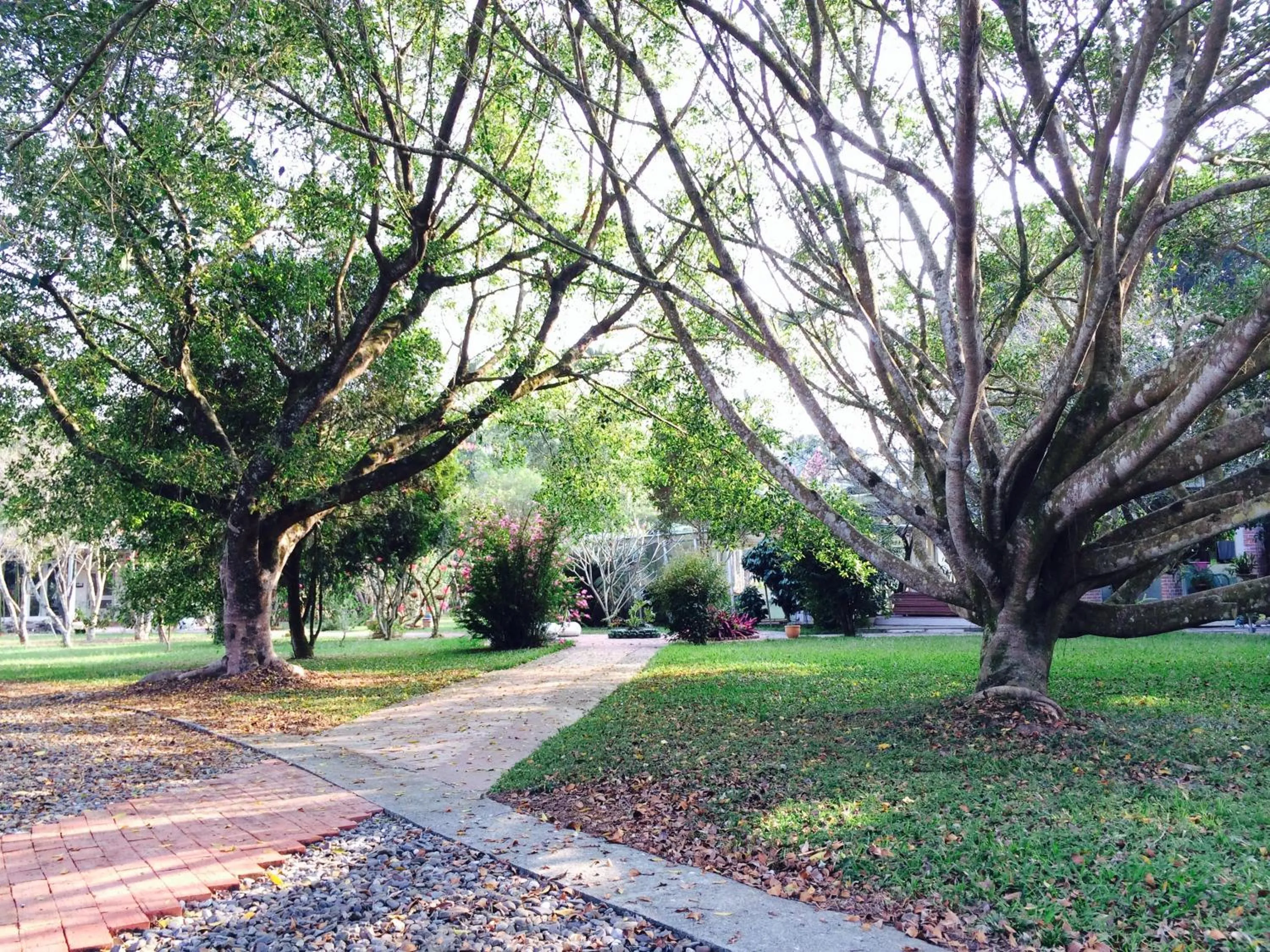 Garden in 秘密花園設計Villas