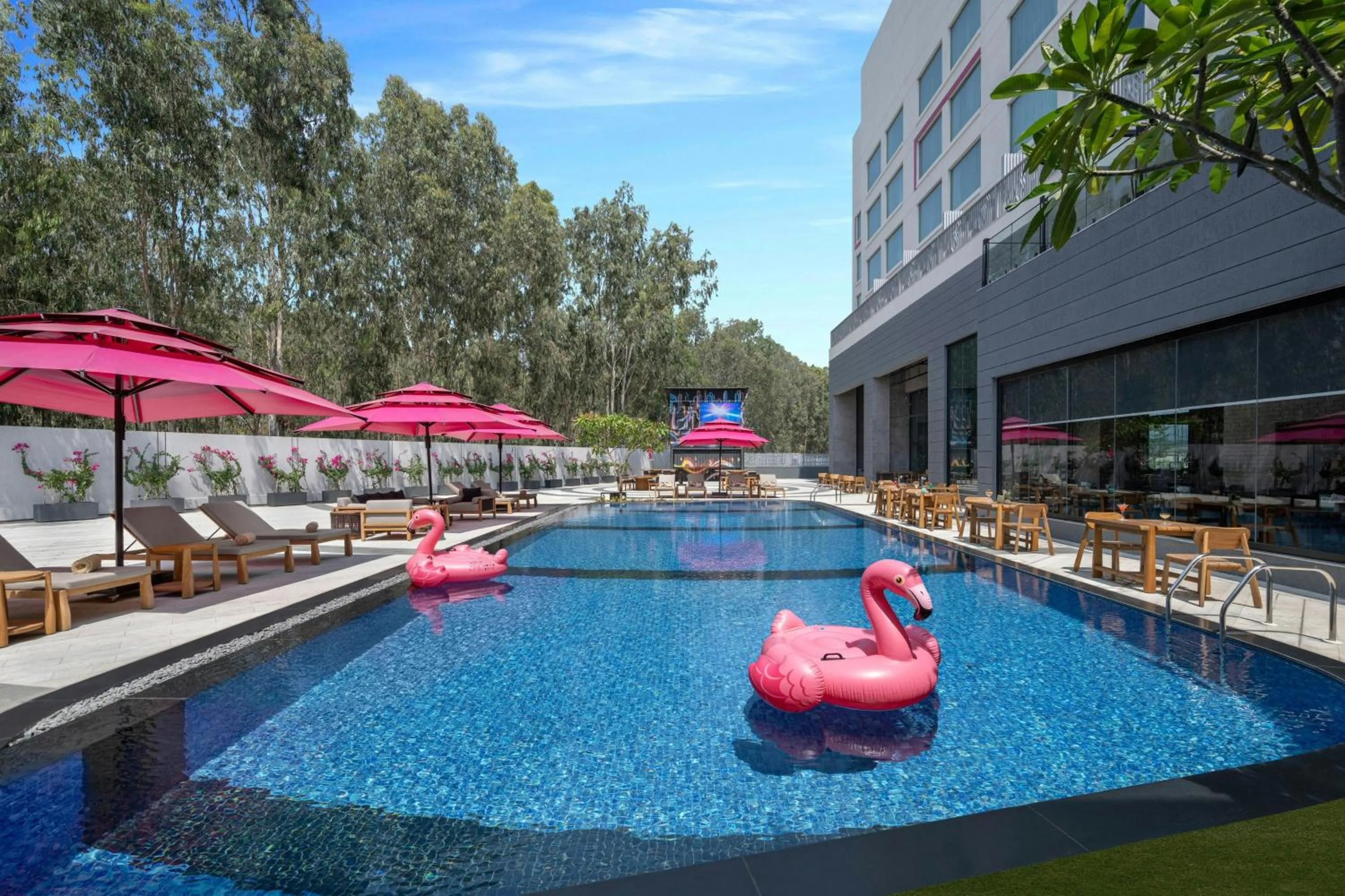 Swimming pool in Moxy Bengaluru Airport Prestige Tech Cloud