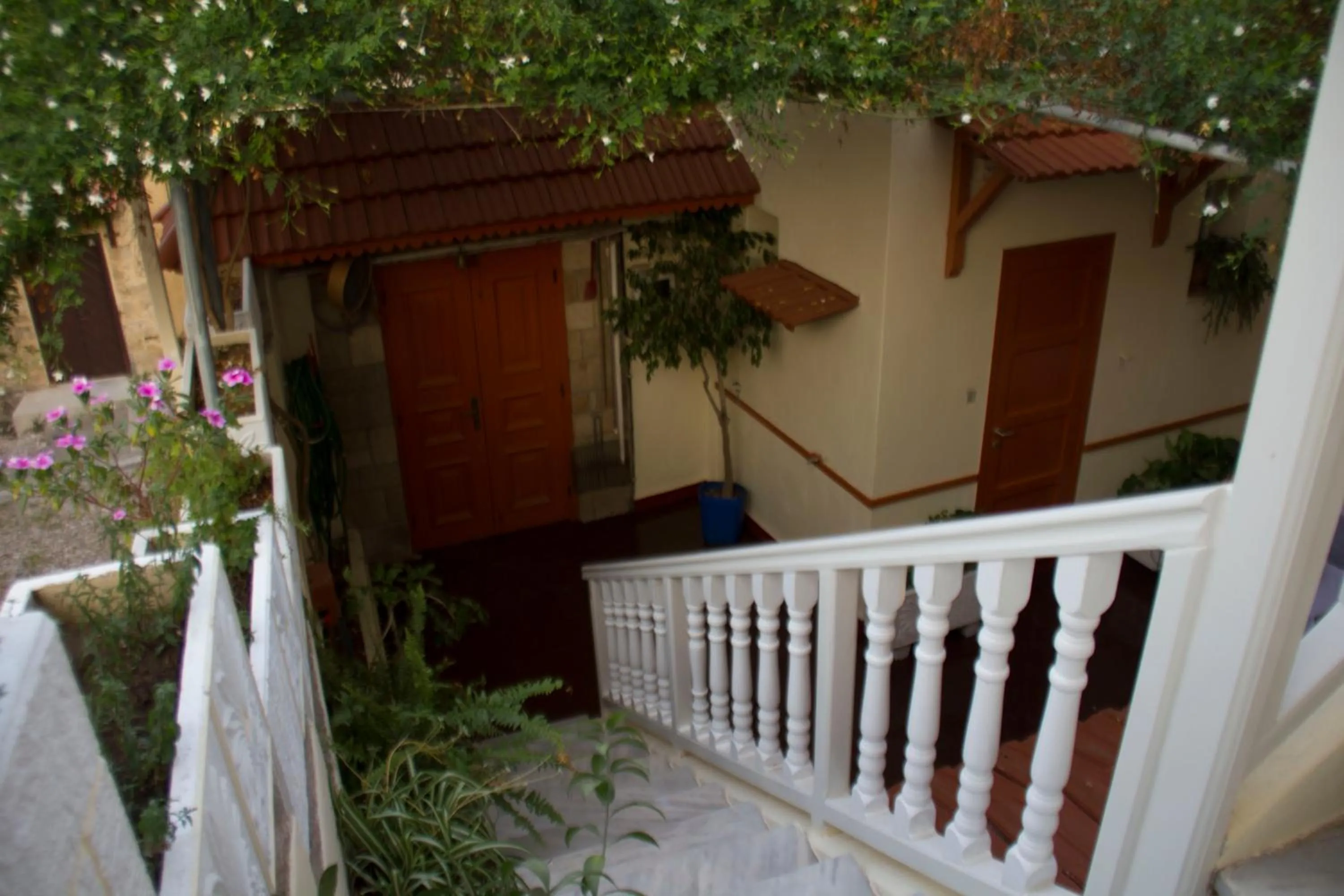 Facade/entrance in Medieval Rose Guest House