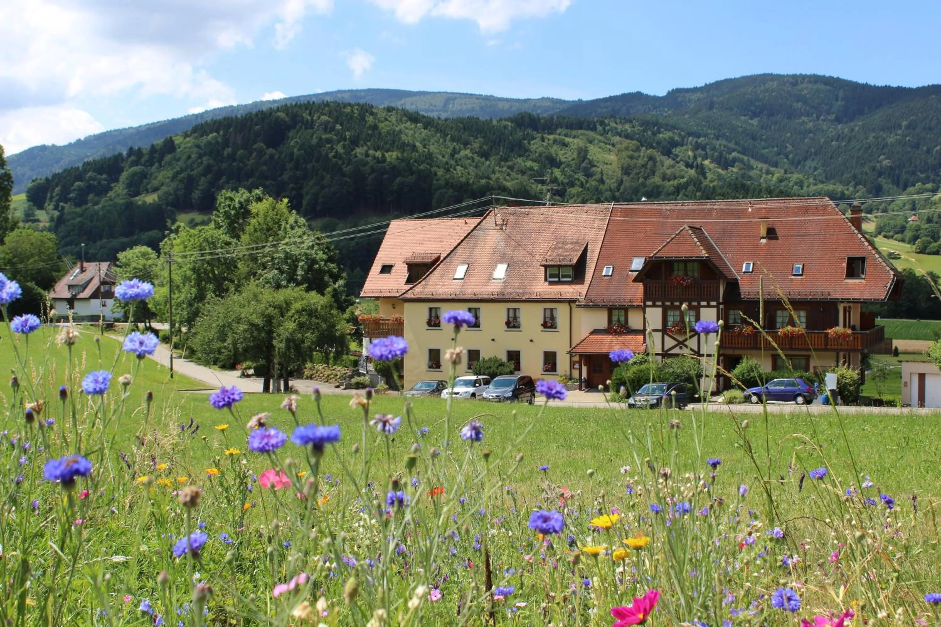 Facade/entrance in Landgasthof zum Schützen