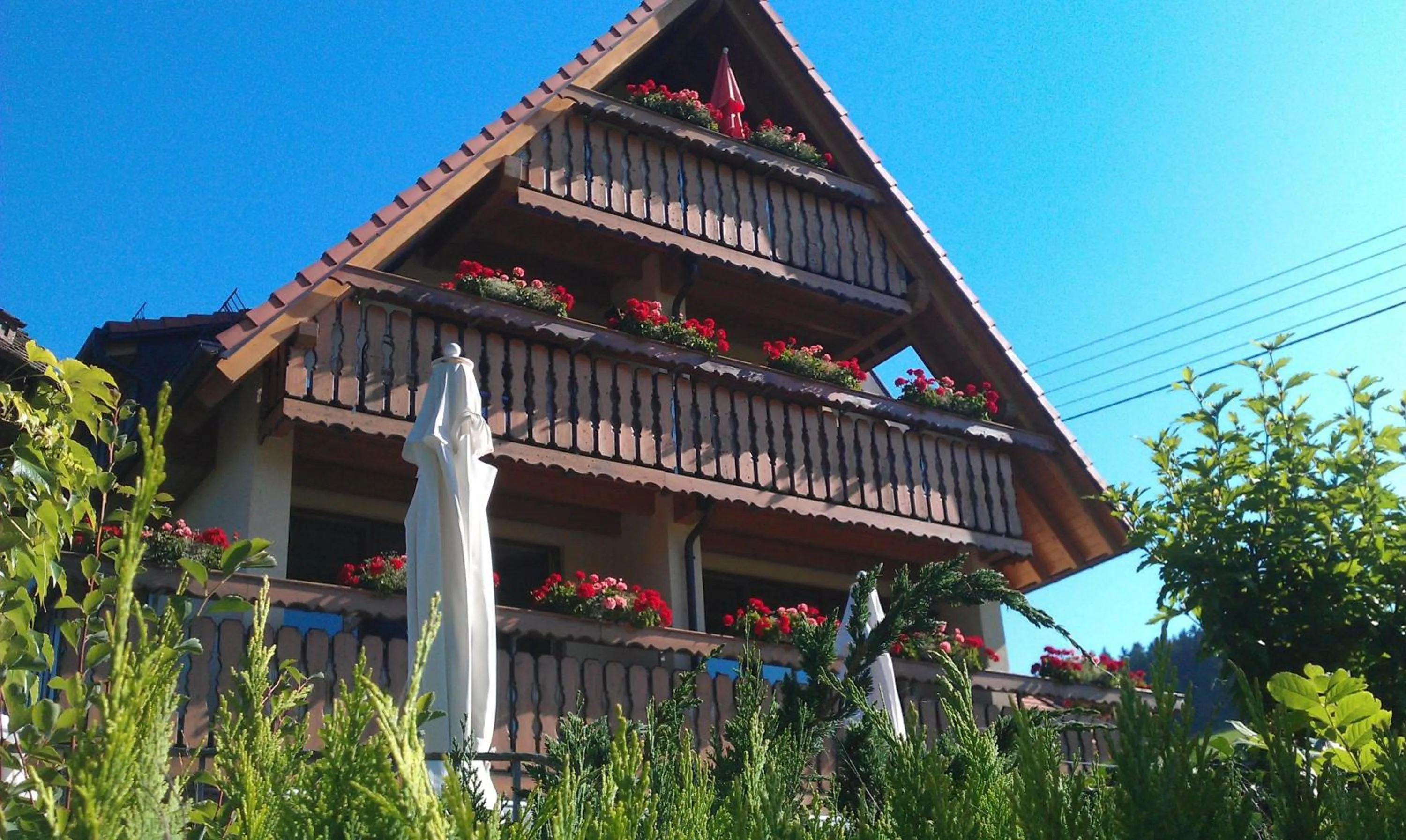 Summer in Landgasthof zum Schützen