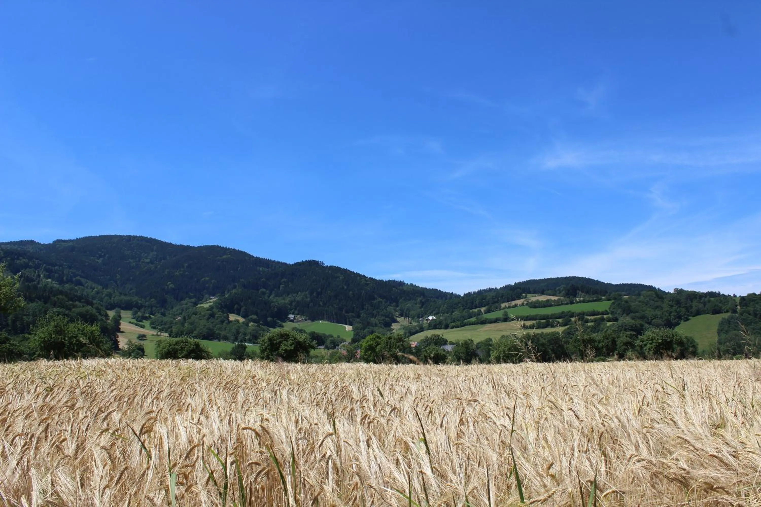 Mountain view in Landgasthof zum Schützen