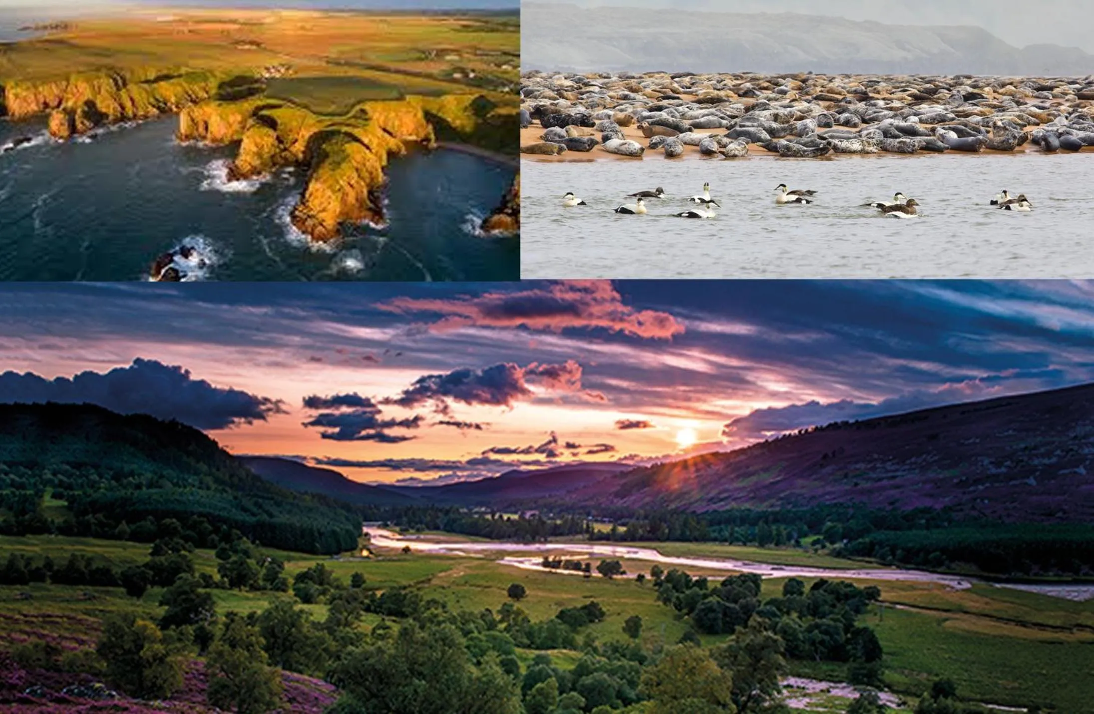 Other in Bimini House