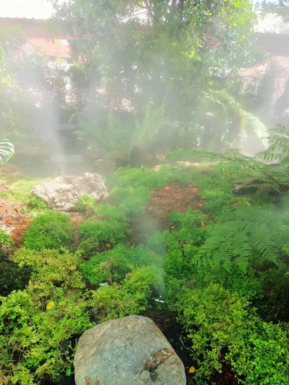 Garden in P.Paradise Hotel