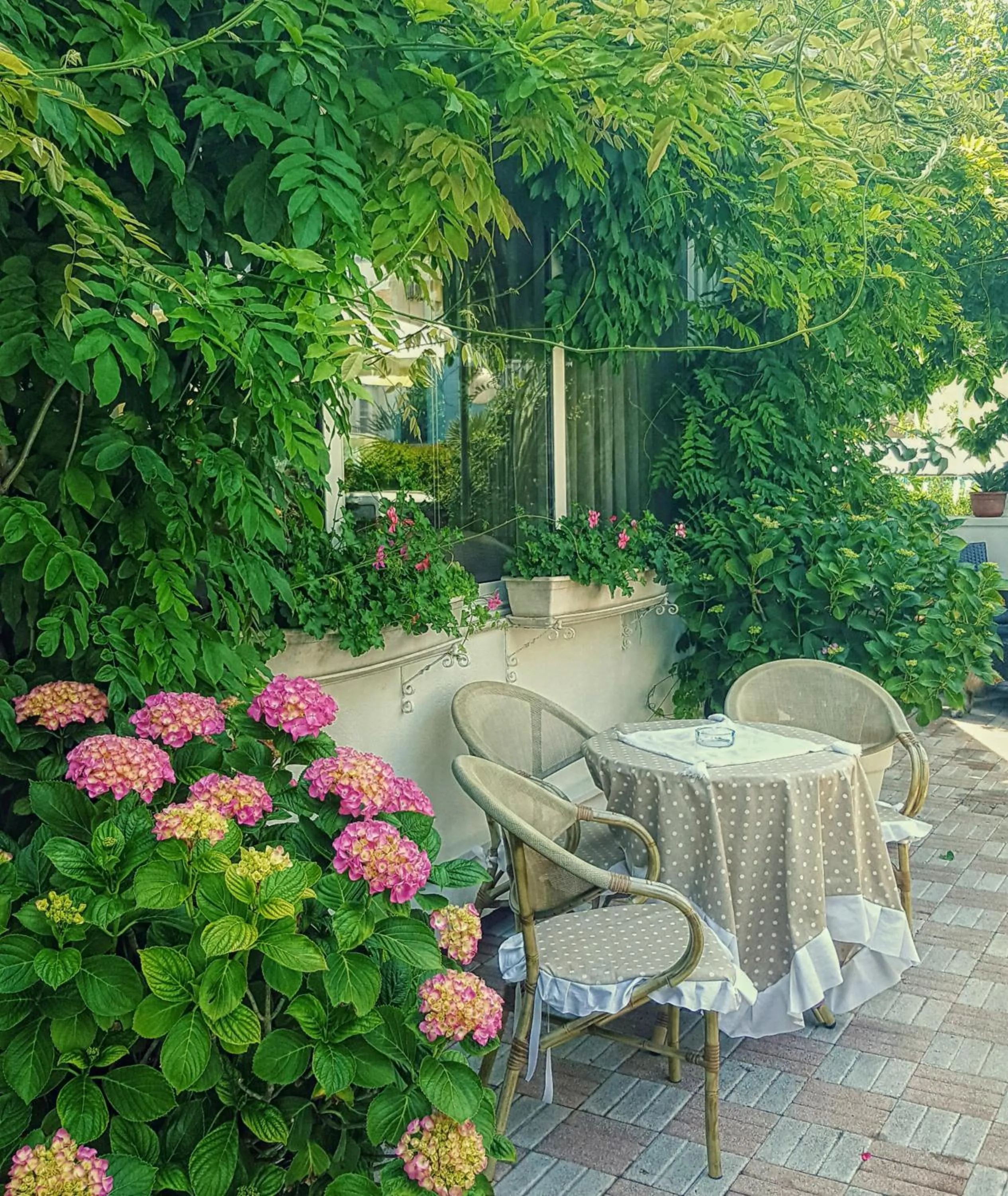 Patio in Hotel Mauritius Sentirsi come a Casa