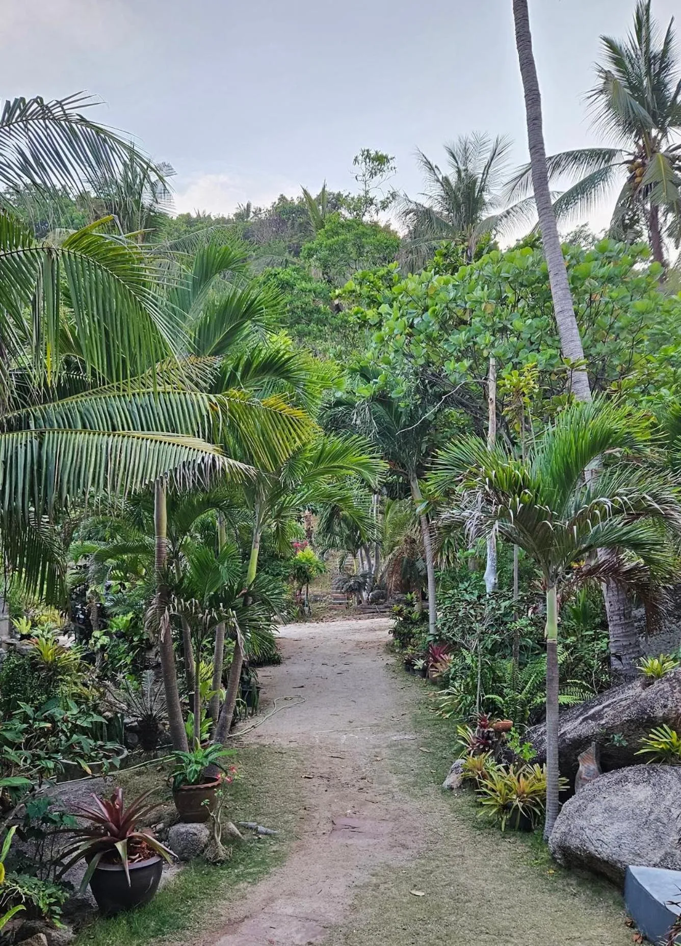 Mountain Reef Beach Resort