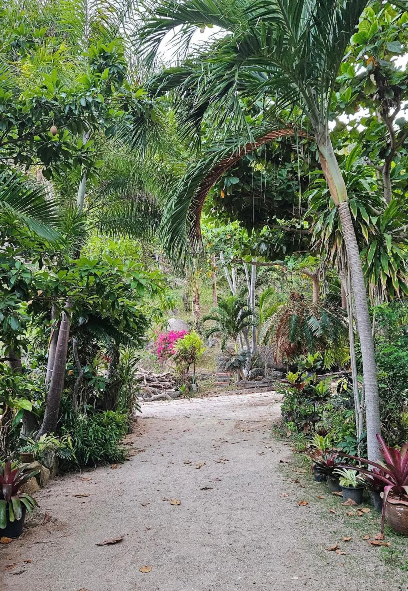 Mountain Reef Beach Resort