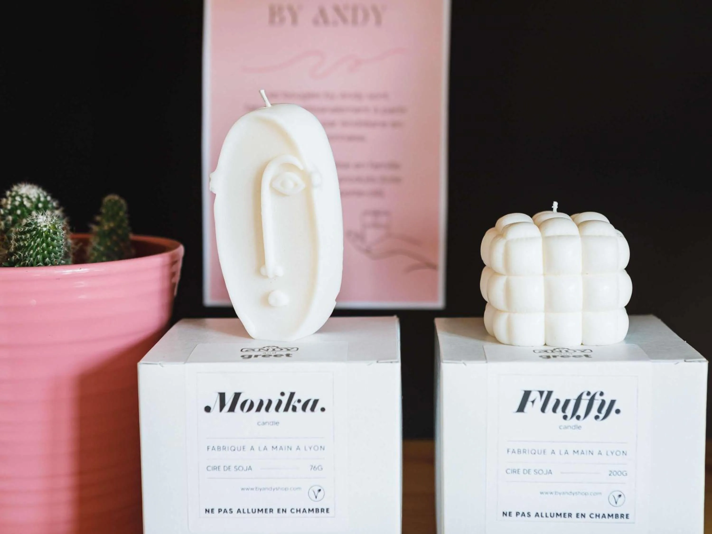 Other in Greet Hotel Lyon Confluence