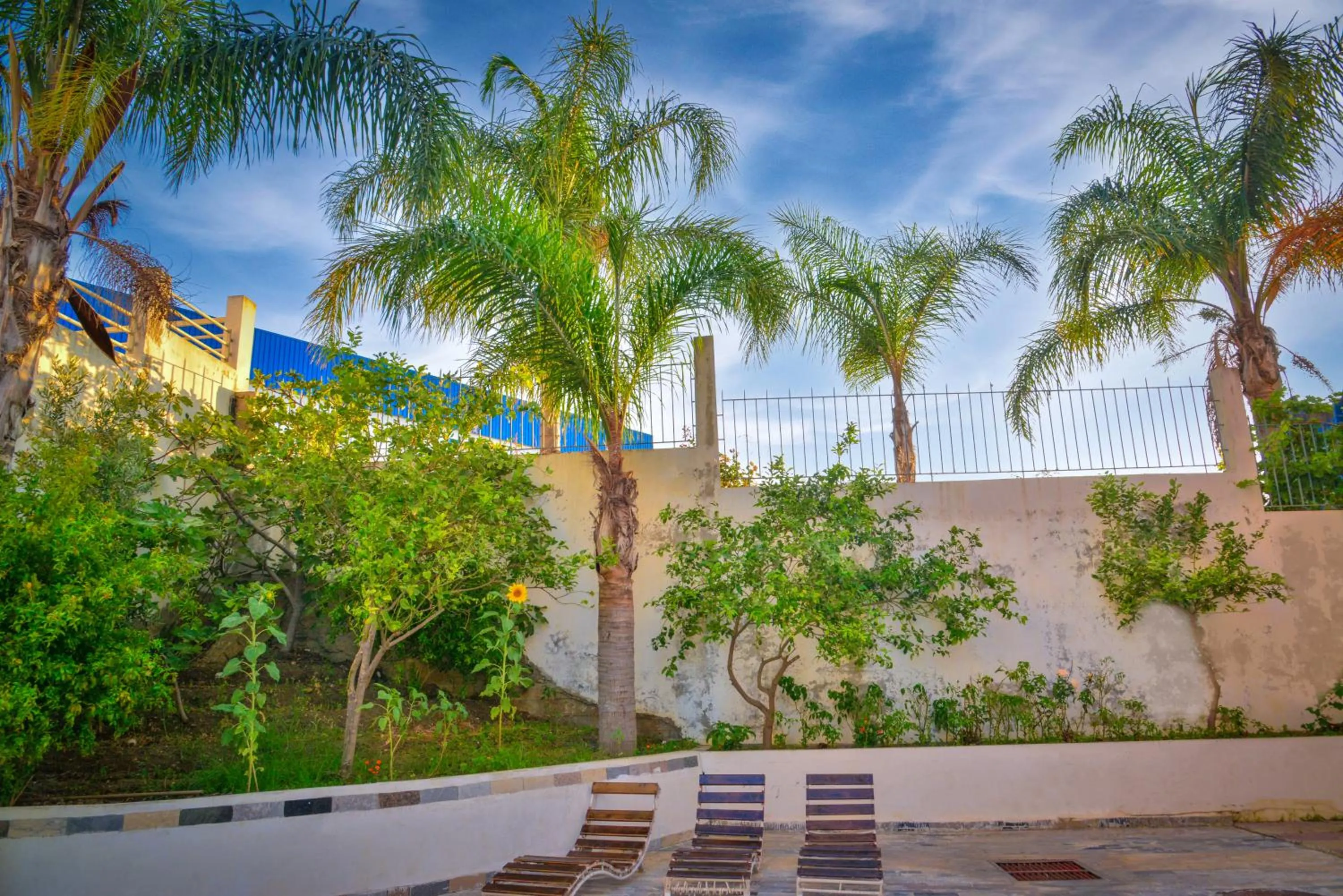 Garden in Free Zone Hotel