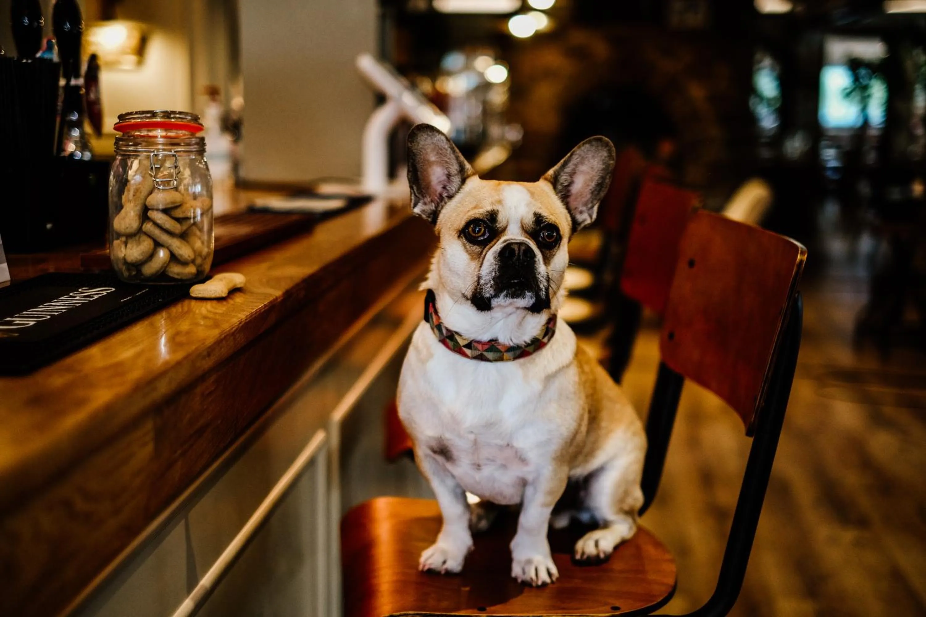 Dartmoor Lodge Hotel