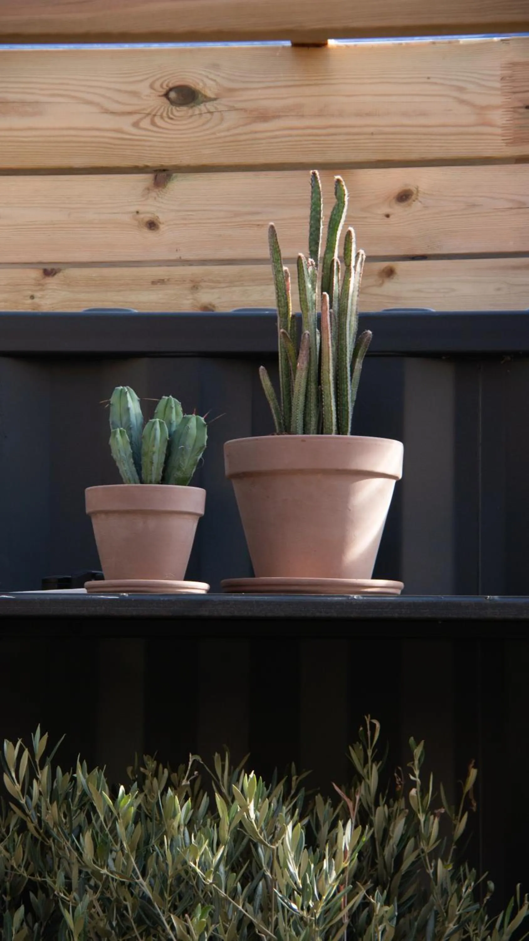 Day in Dartmoor Lodge Hotel