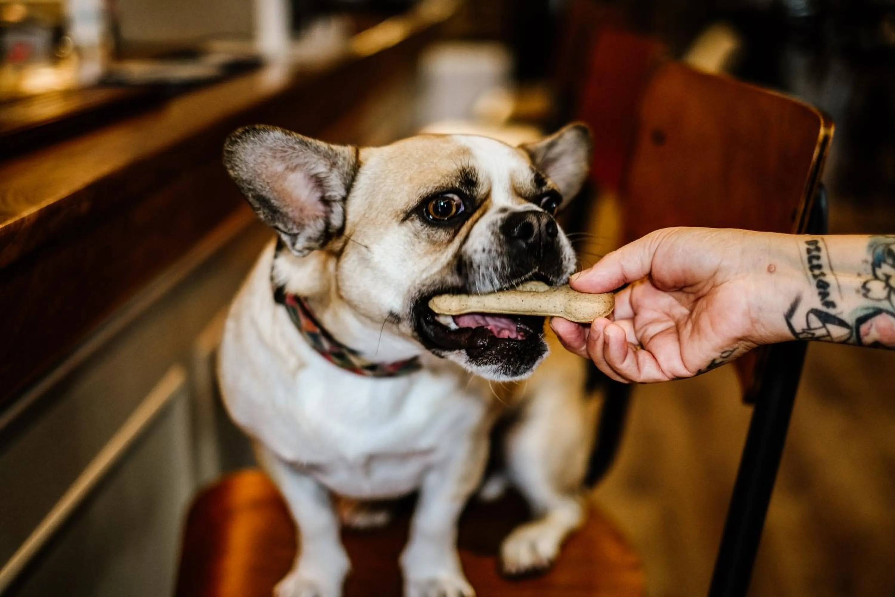 Dartmoor Lodge Hotel