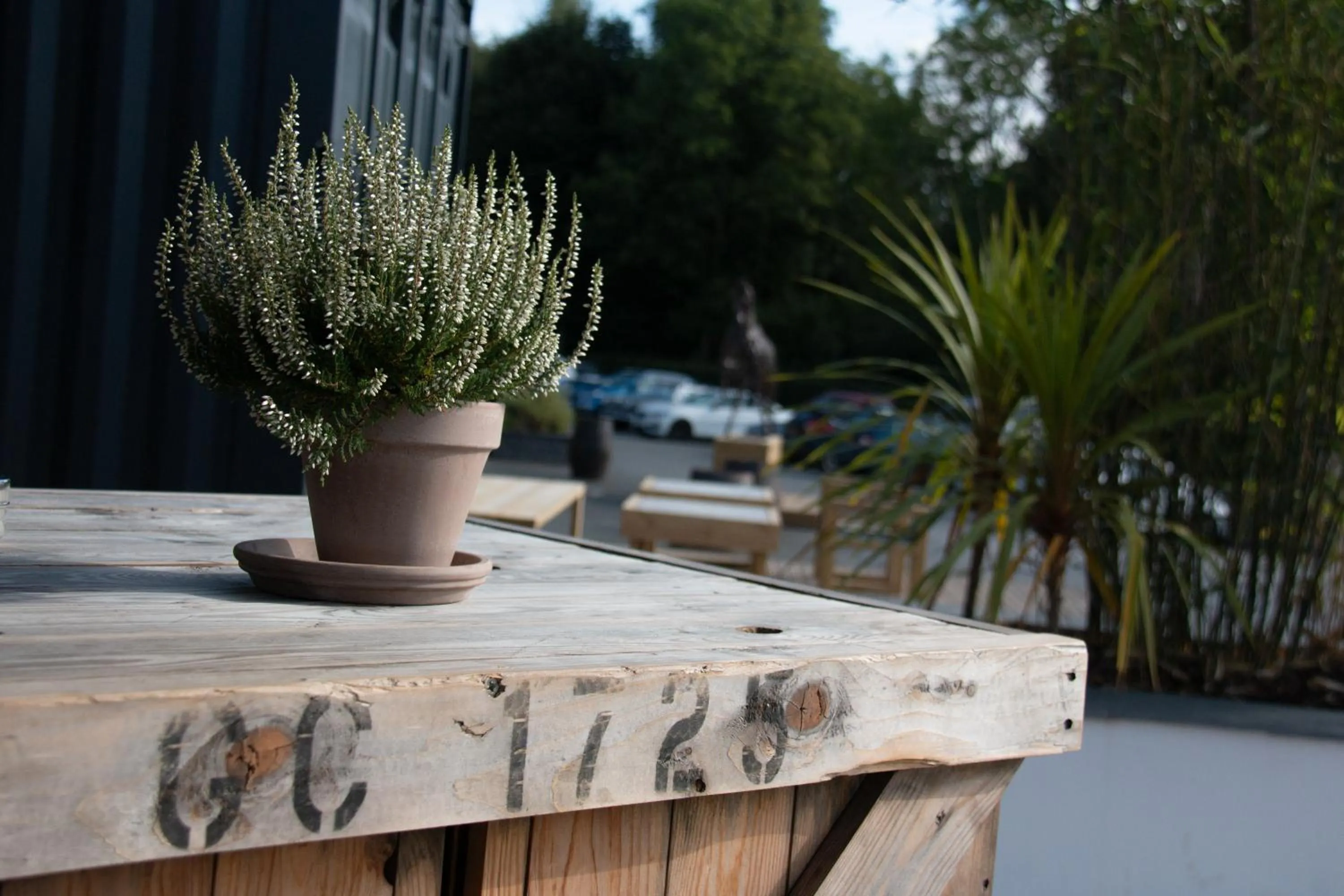 Day in Dartmoor Lodge Hotel