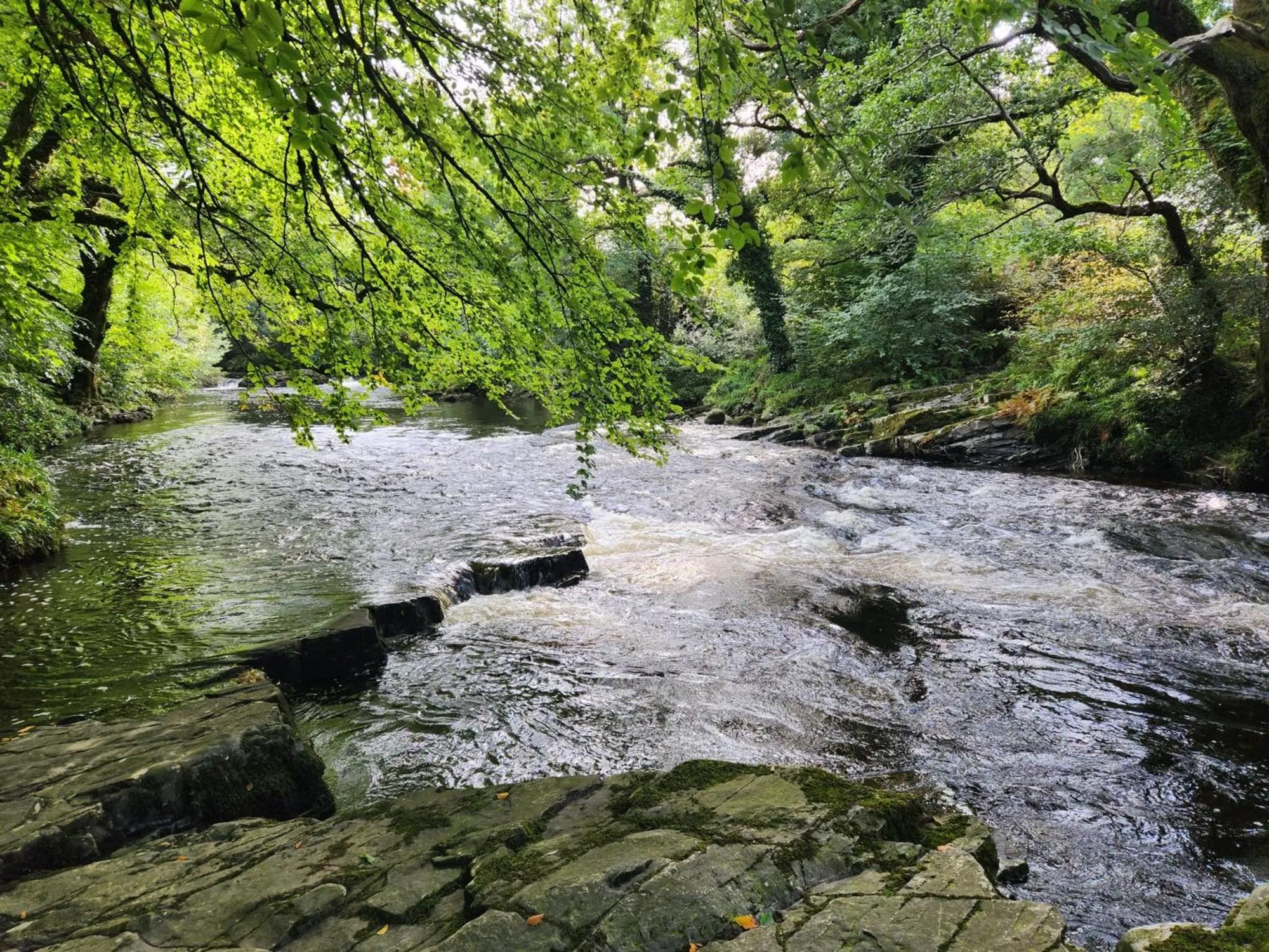 Natural landscape in Dartmoor Lodge Hotel