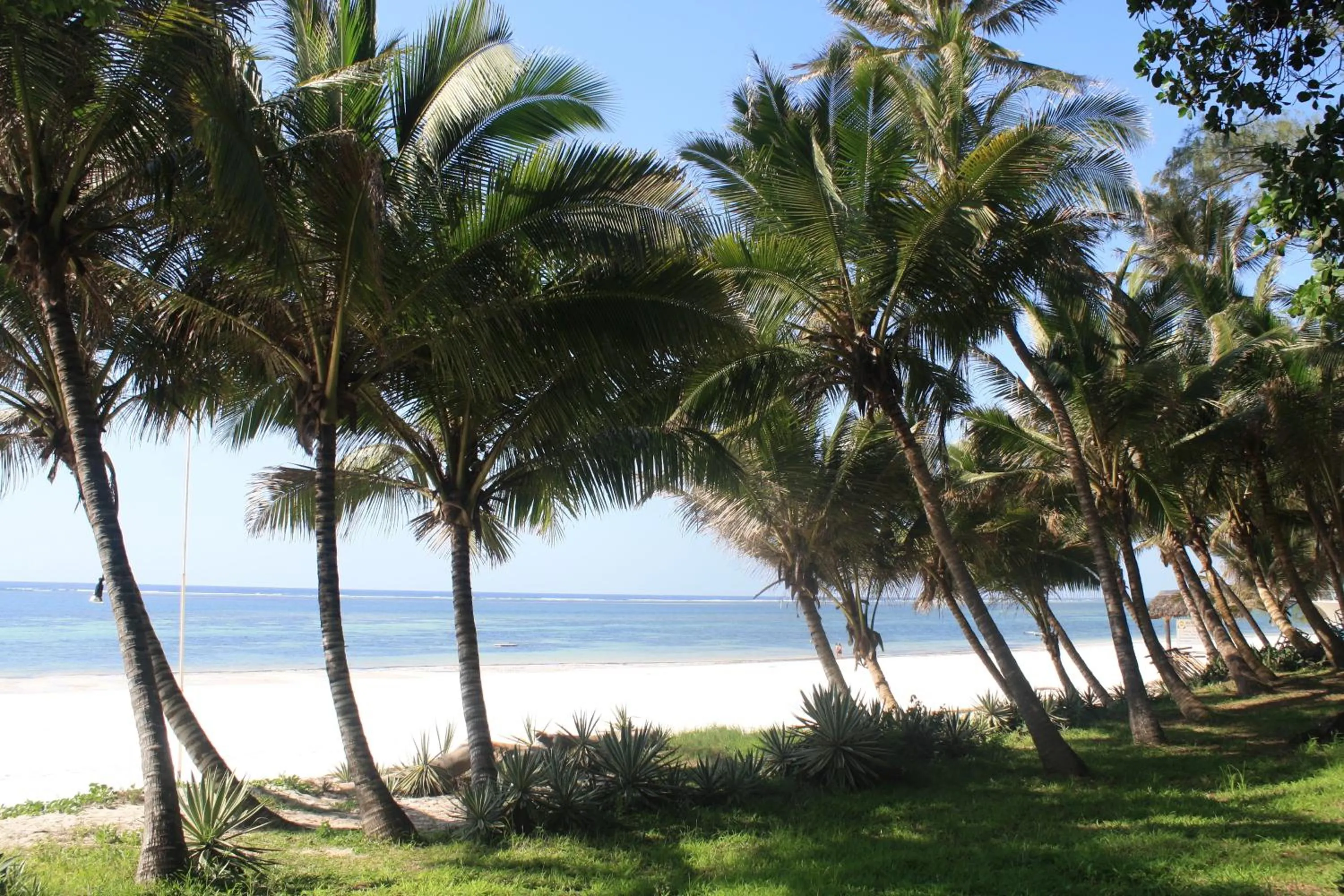 Beach in Diani Marine Divers Village