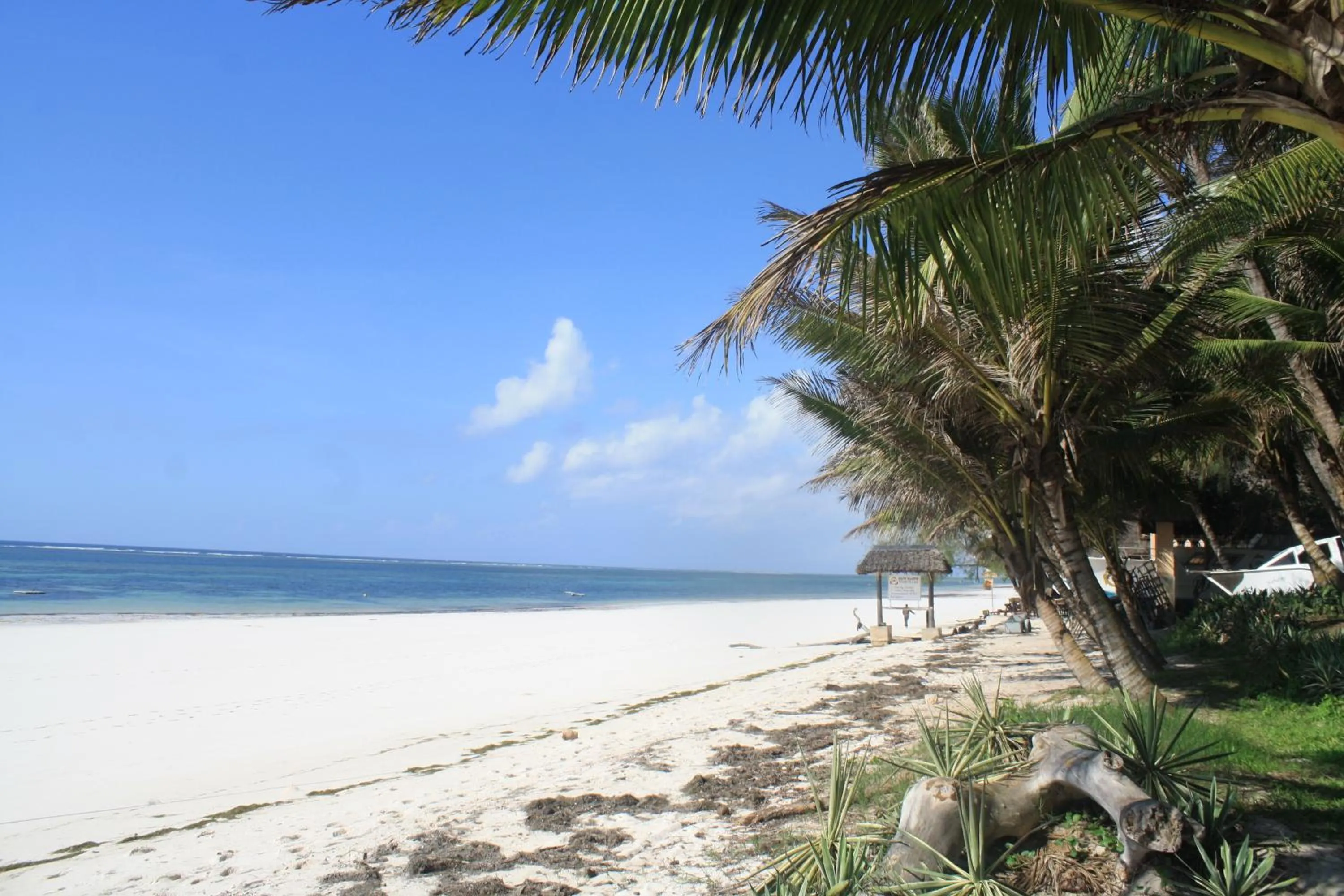 Beach in Diani Marine Divers Village