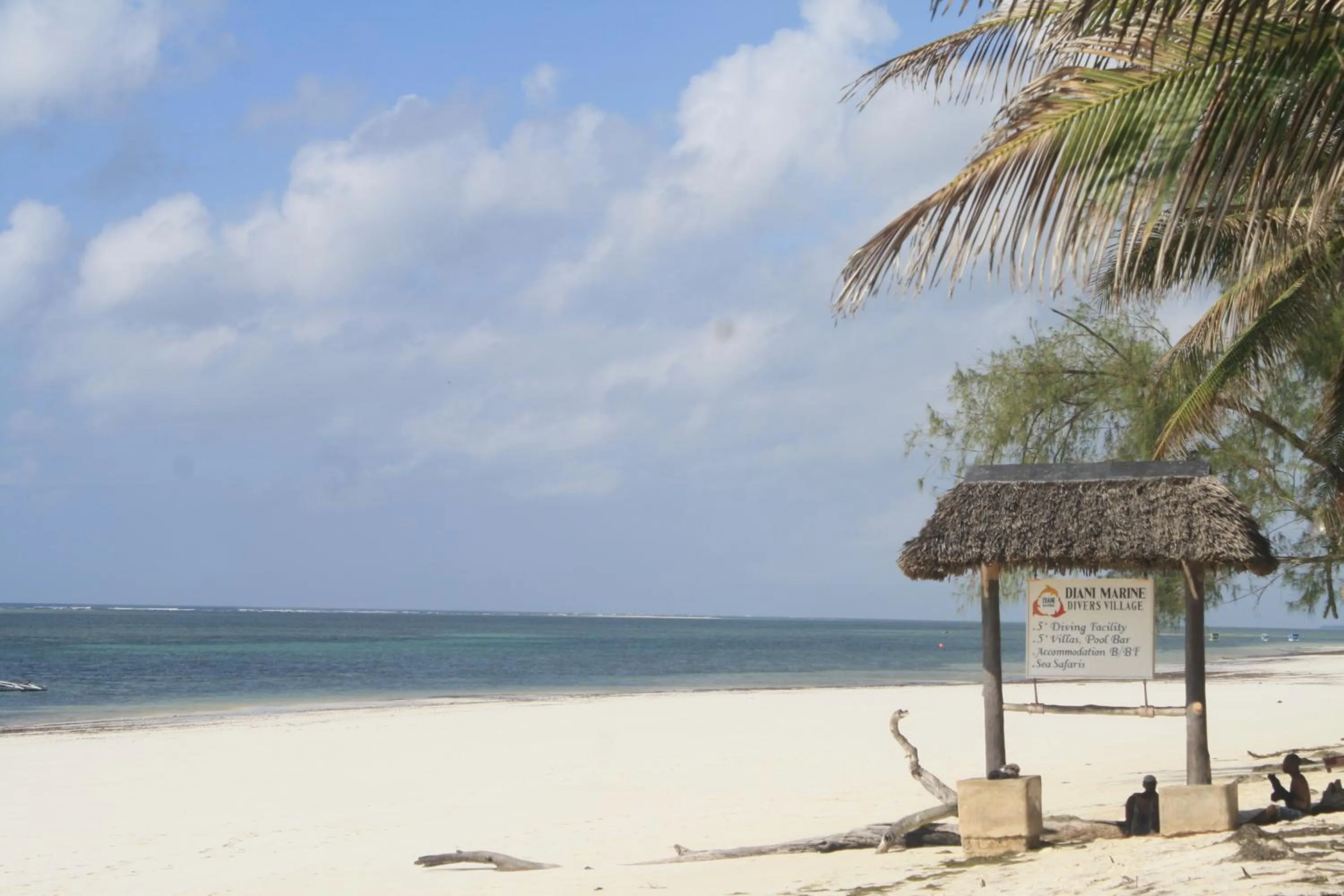 Beach in Diani Marine Divers Village