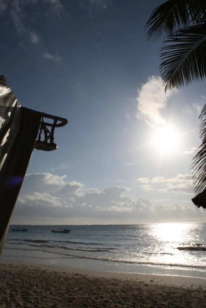Natural landscape in Diani Marine Divers Village