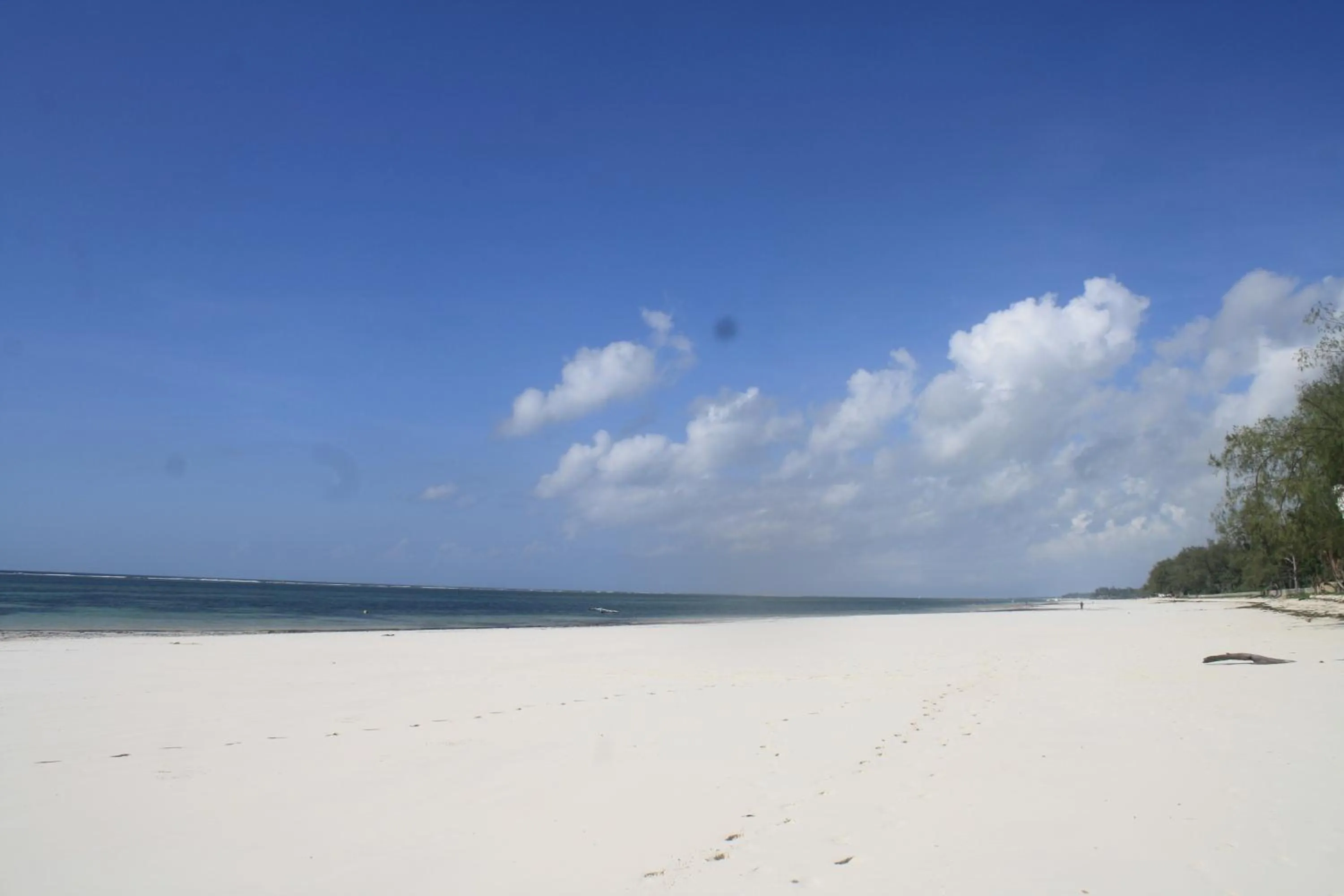 Beach in Diani Marine Divers Village