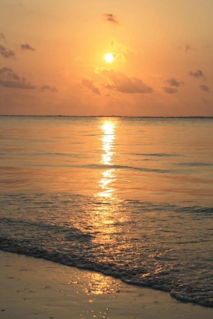 Natural landscape in Diani Marine Divers Village
