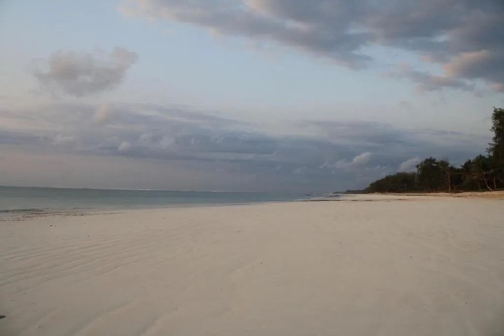 Beach in Diani Marine Divers Village