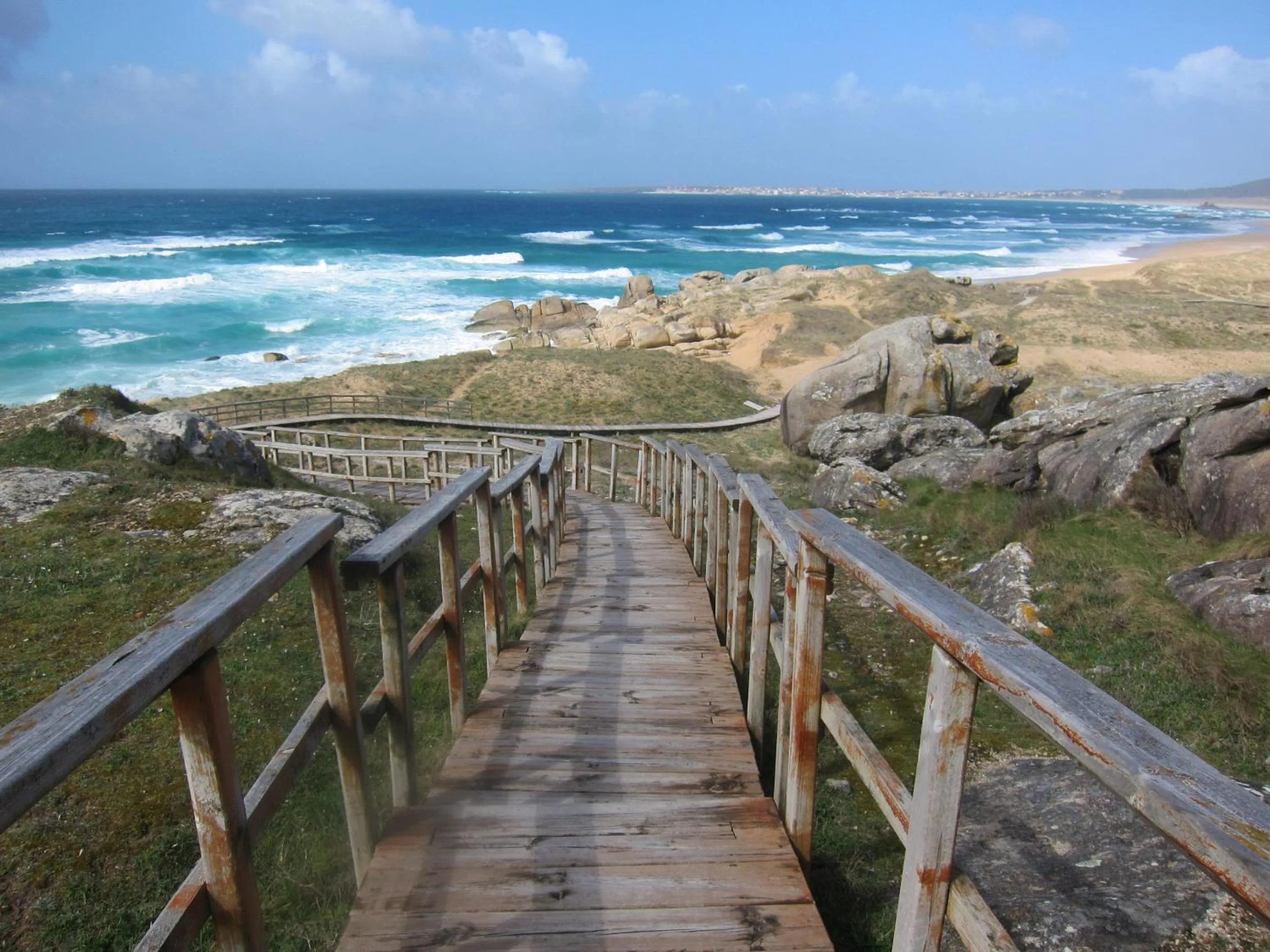 Natural Landscape in Hotel Jopi