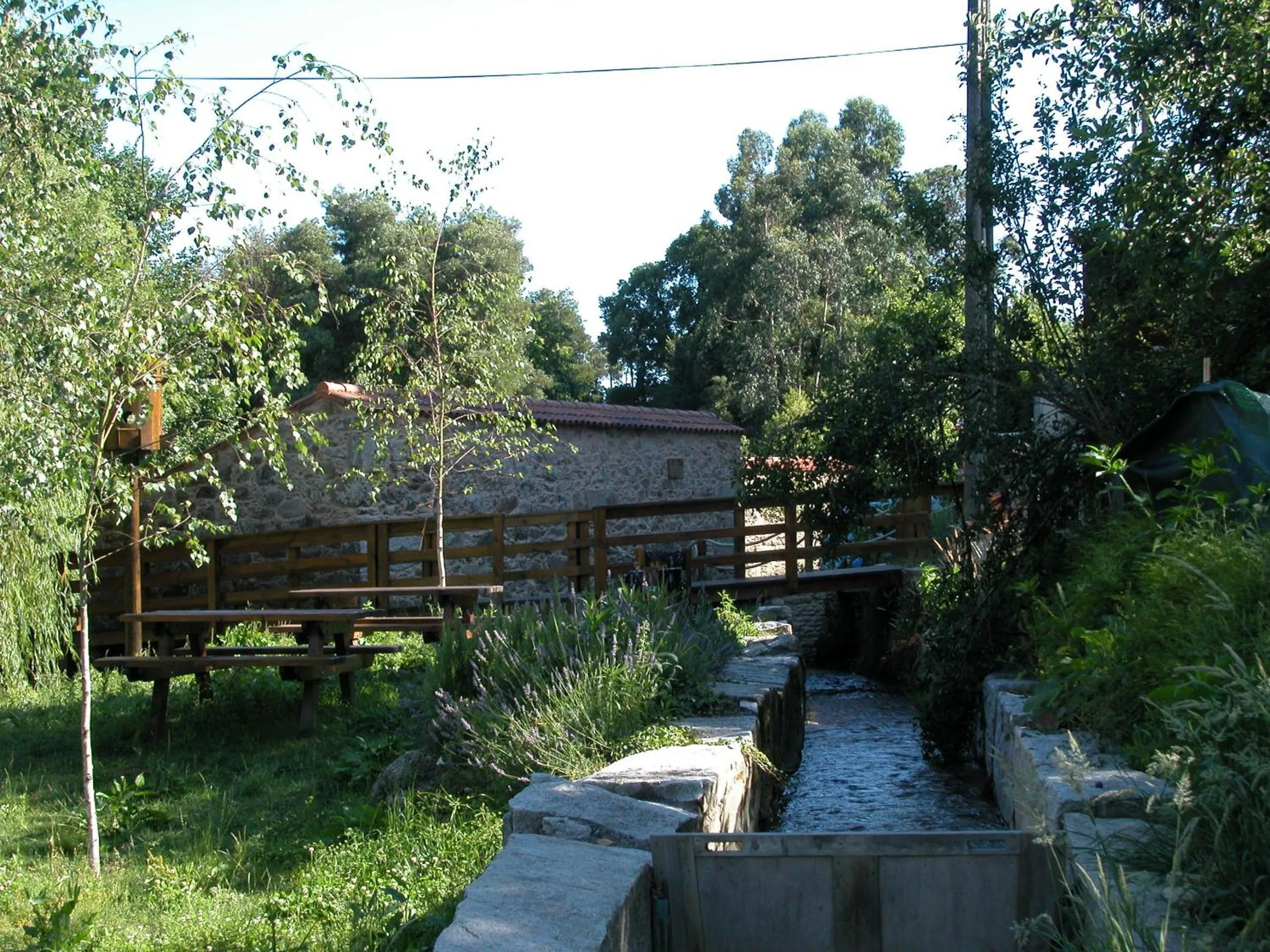 Natural landscape in Hotel Jopi