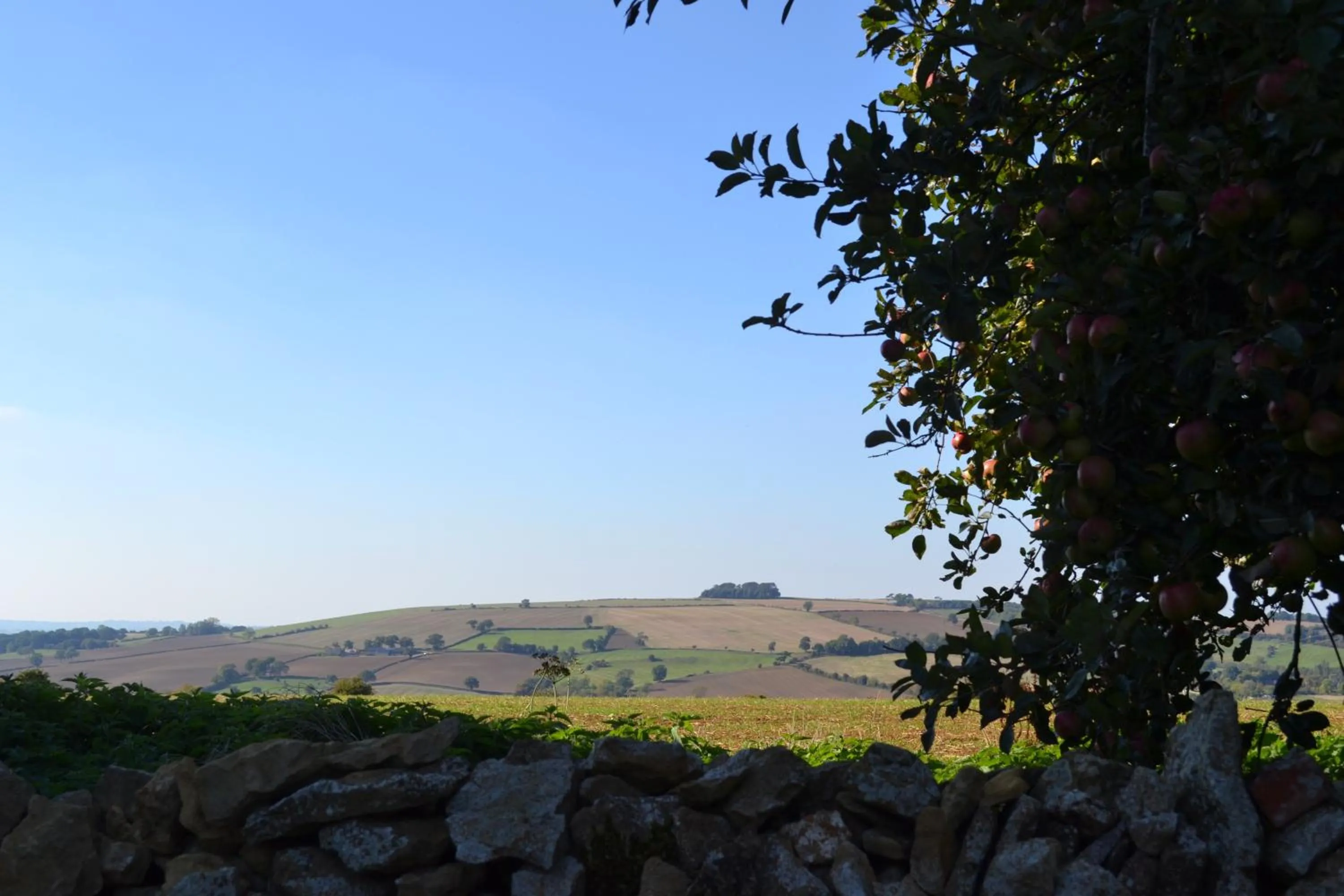 Garden in Cotswolds Mine Hill House