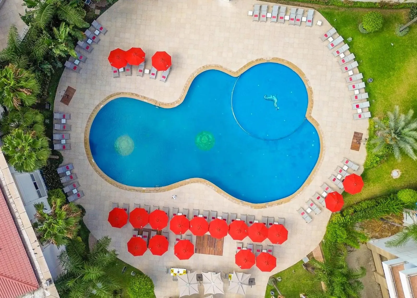 Royal Tulip City Center