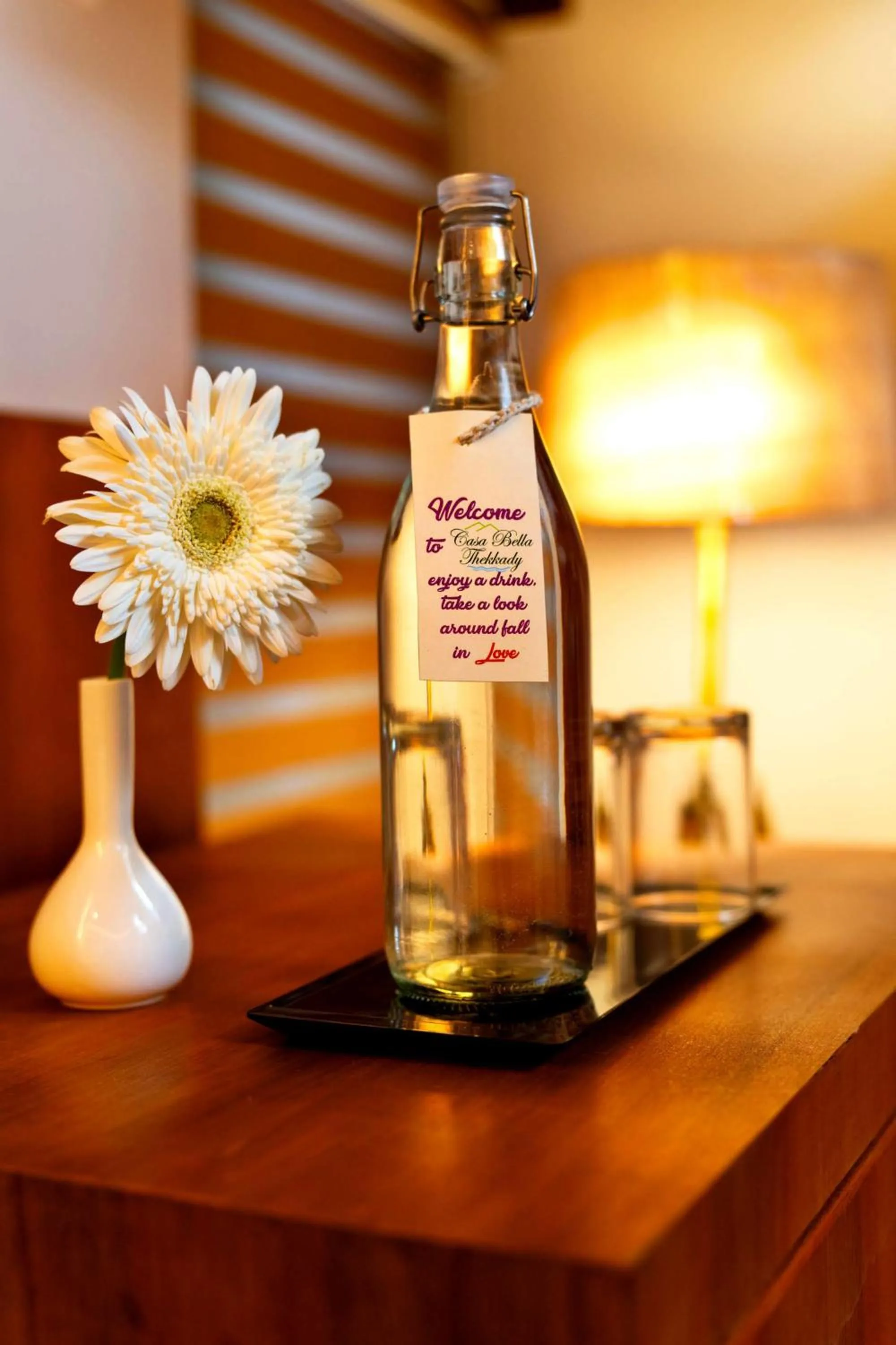 Garden view in Casa Bella, Thekkady