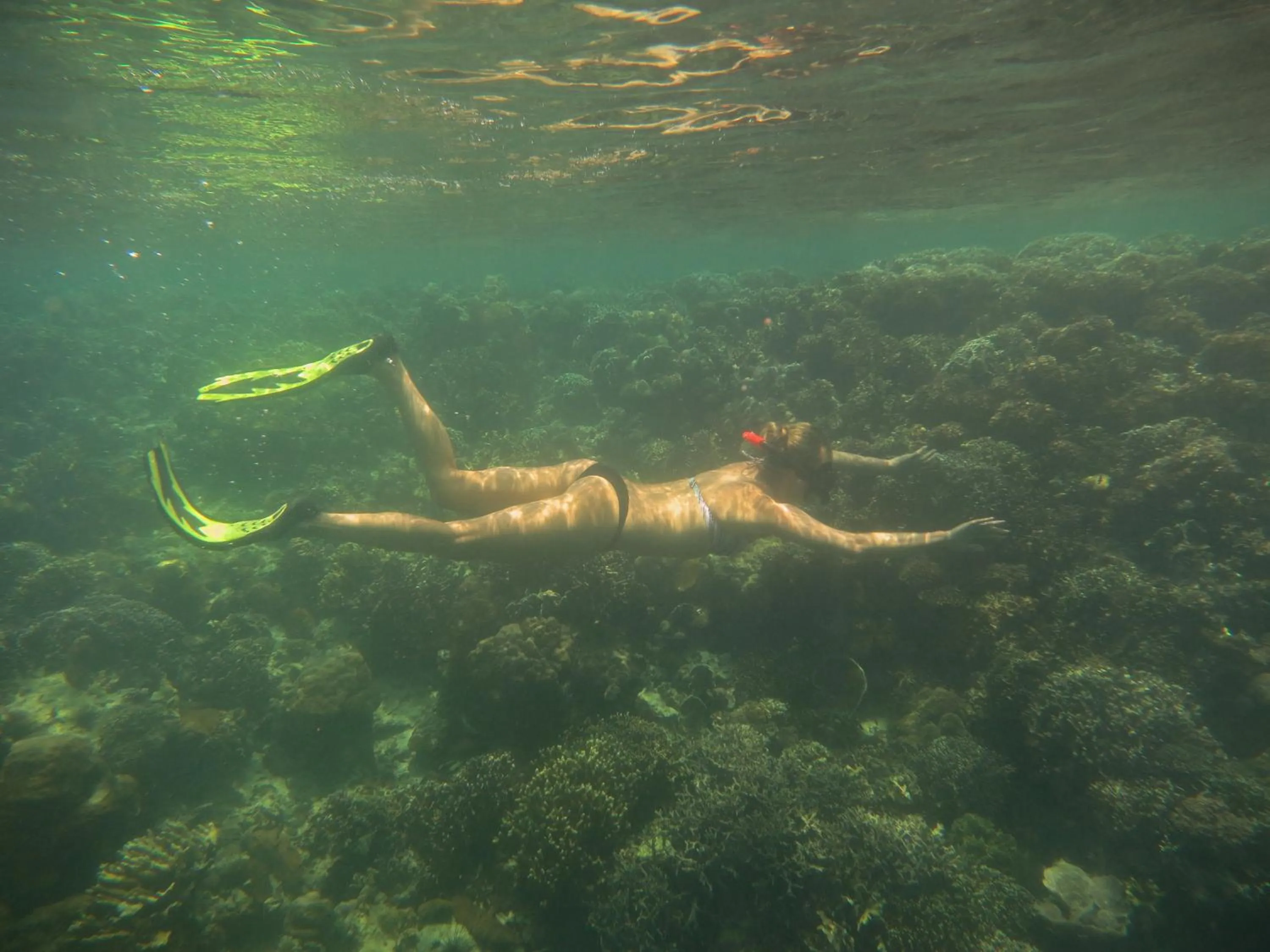 Snorkeling in HAKS Boutique B&B with Pool & Farm-to-Table Dining
