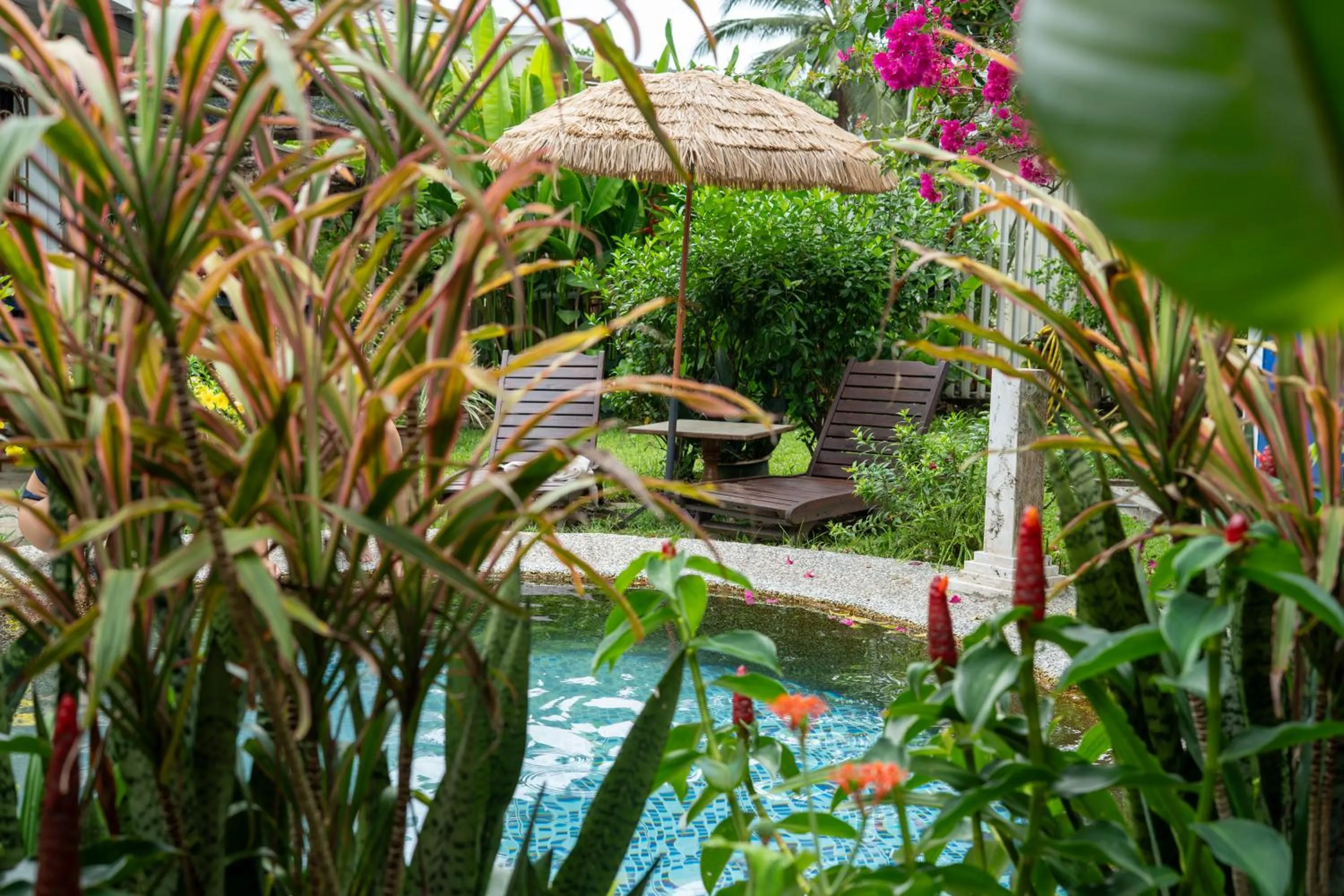 Garden in HAKS Boutique B&B with Pool & Farm-to-Table Dining