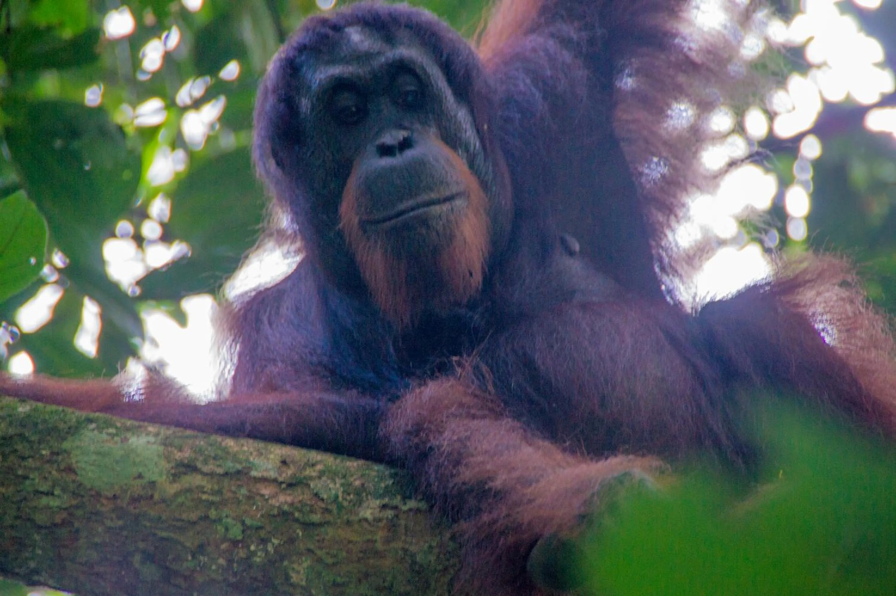 Hiking in HAKS Boutique B&B with Pool & Farm-to-Table Dining