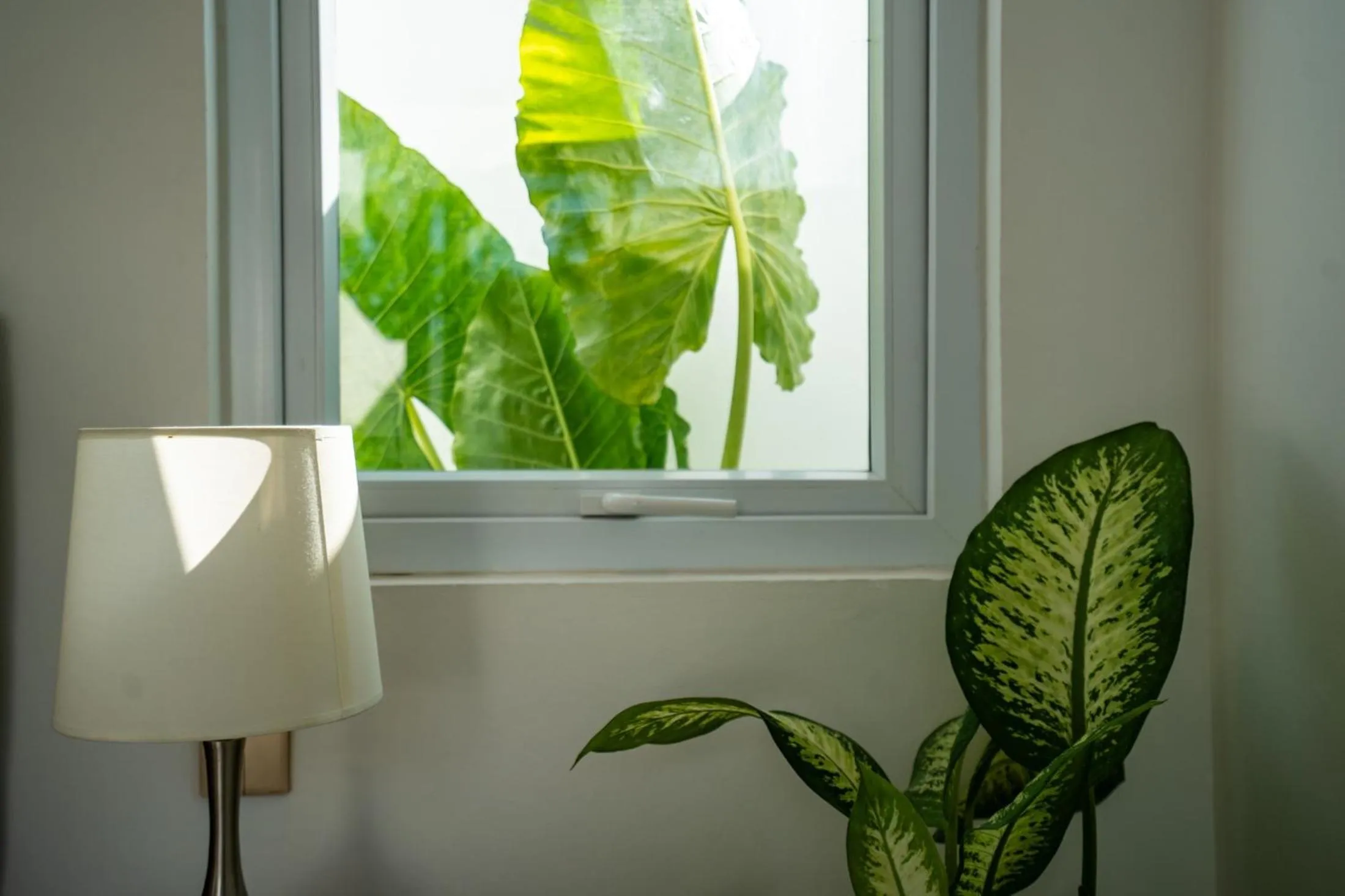 View (from property/room) in Eden Cemagi Villa Pererenan