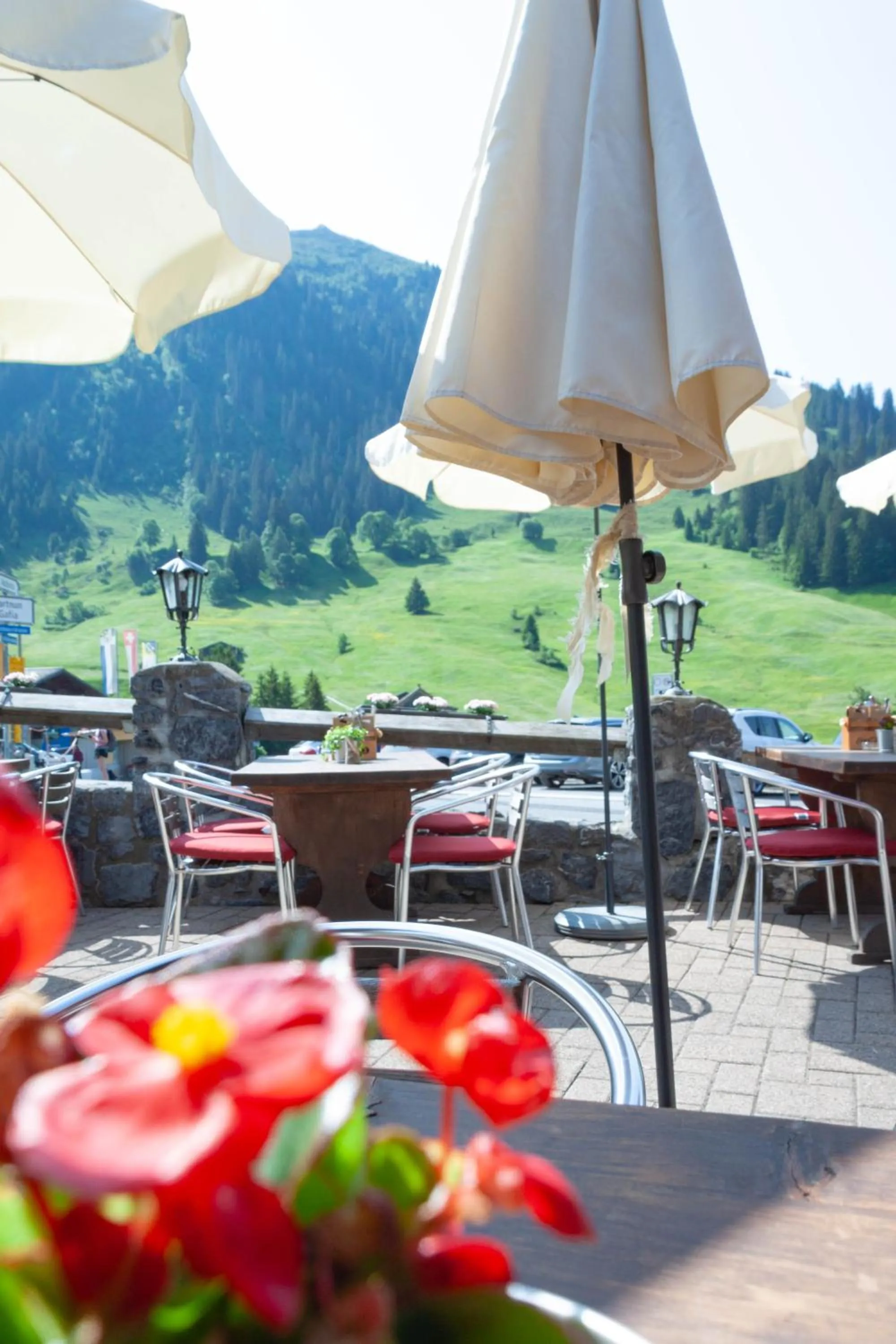 Balcony/Terrace in Hotel Madrisajoch