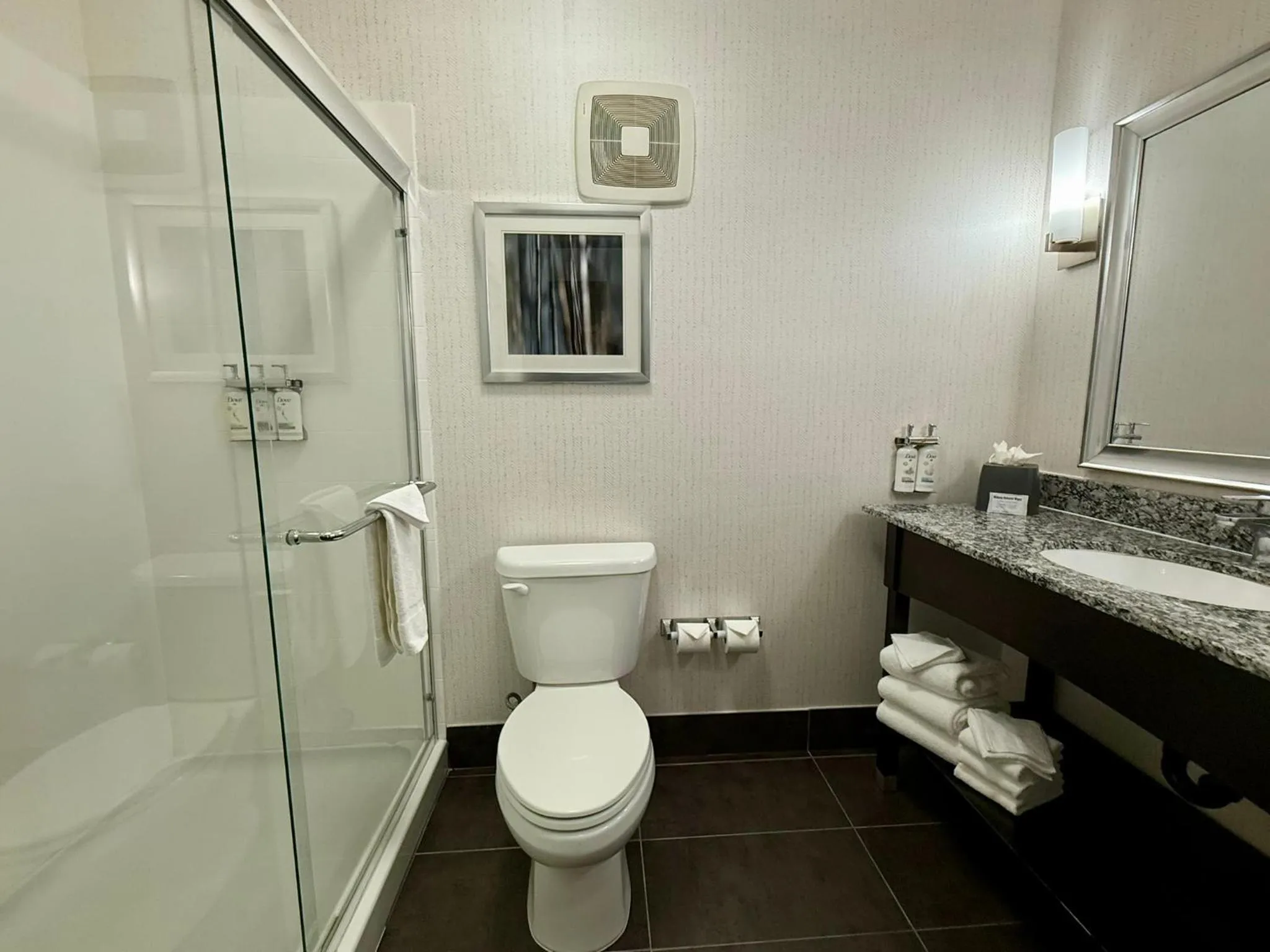 Toilet in Holiday Inn Carlsbad/San Diego, an IHG Hotel