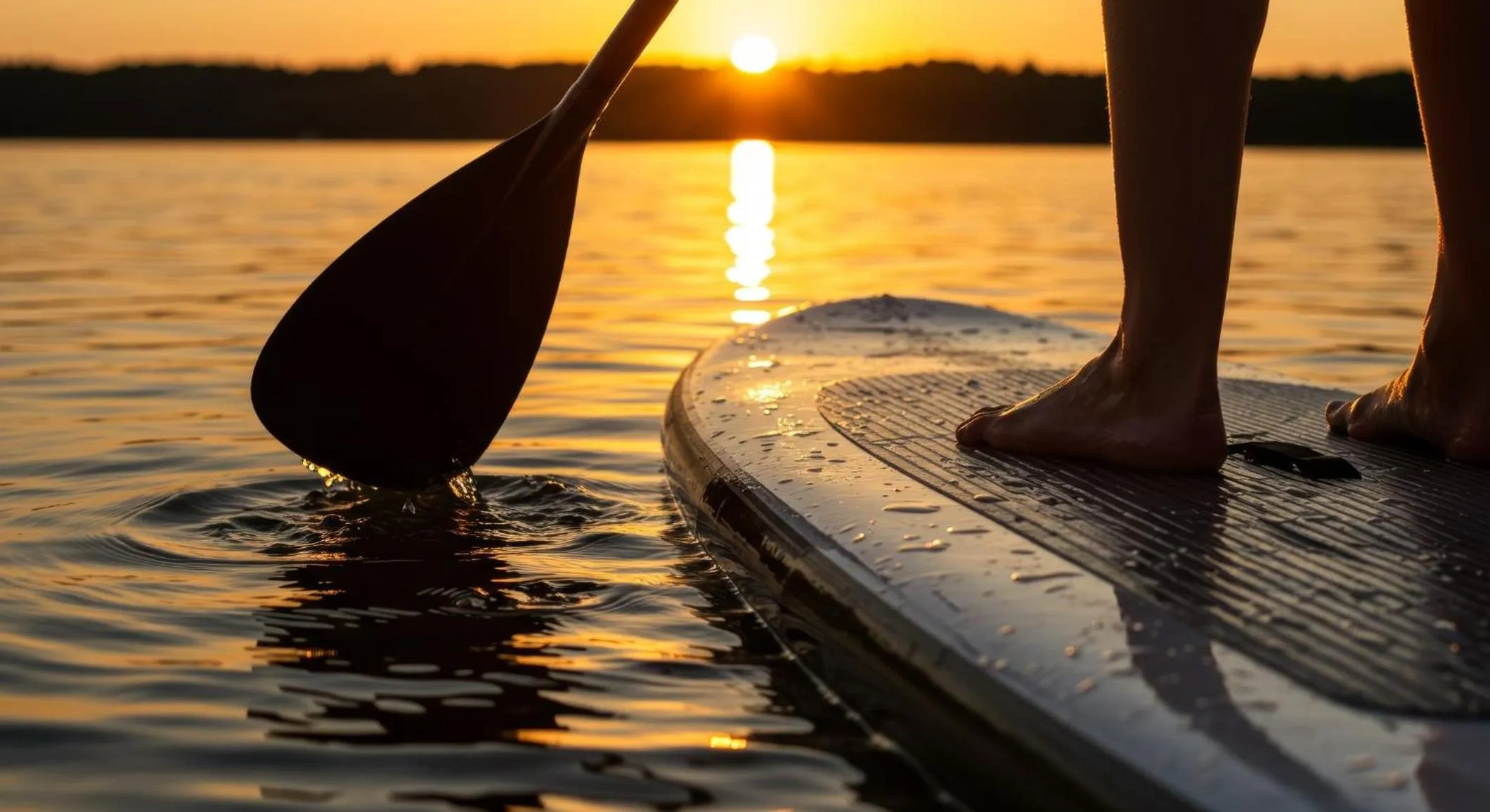 Area and facilities in Staybridge Suites Carlsbad/San Diego by IHG