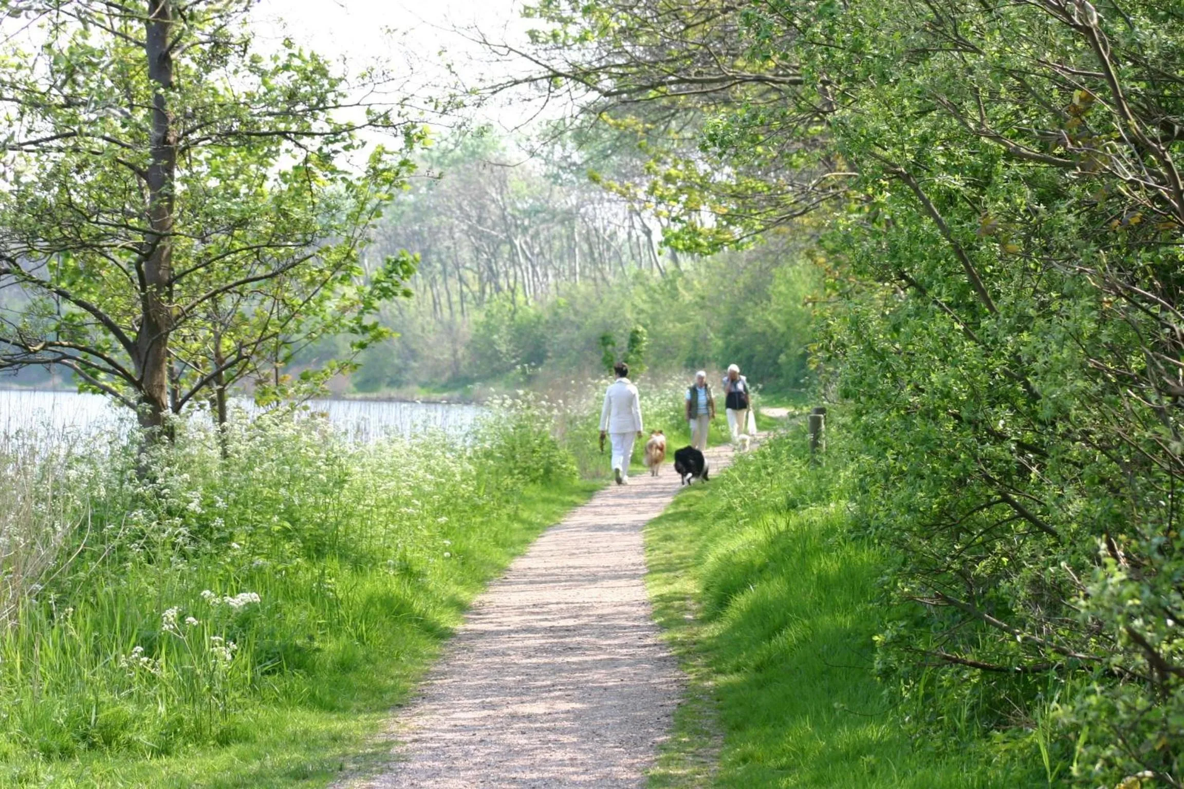 Hiking in Boutique Hotel Charley's