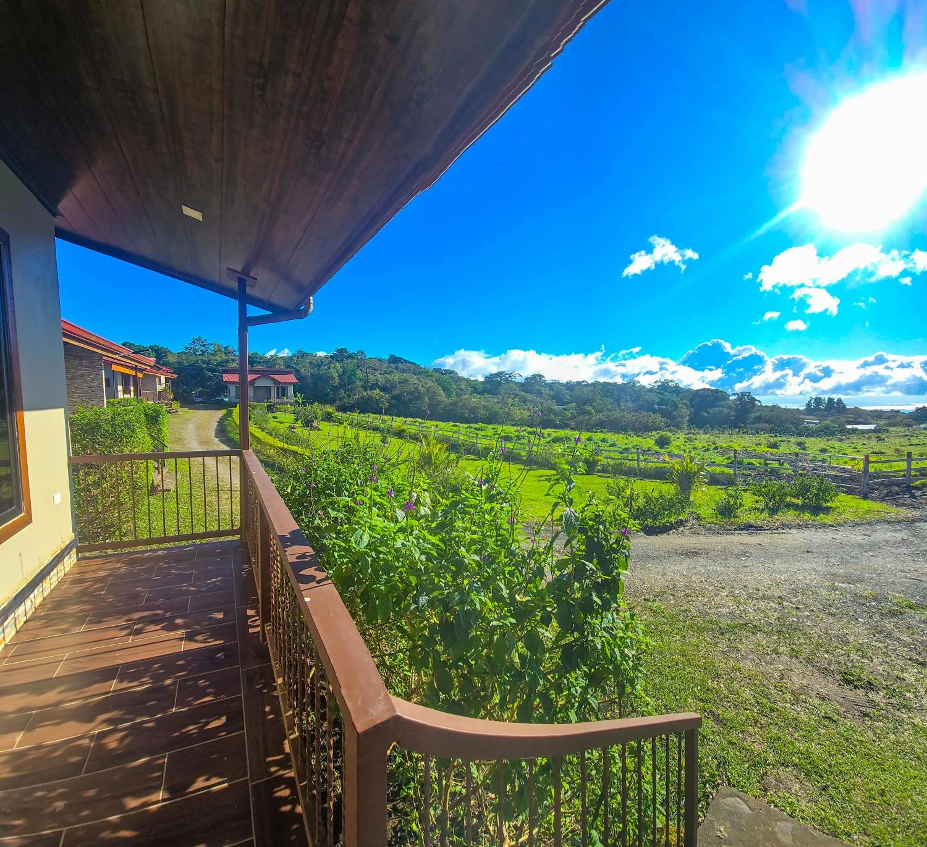 Garden in Hotel Almore